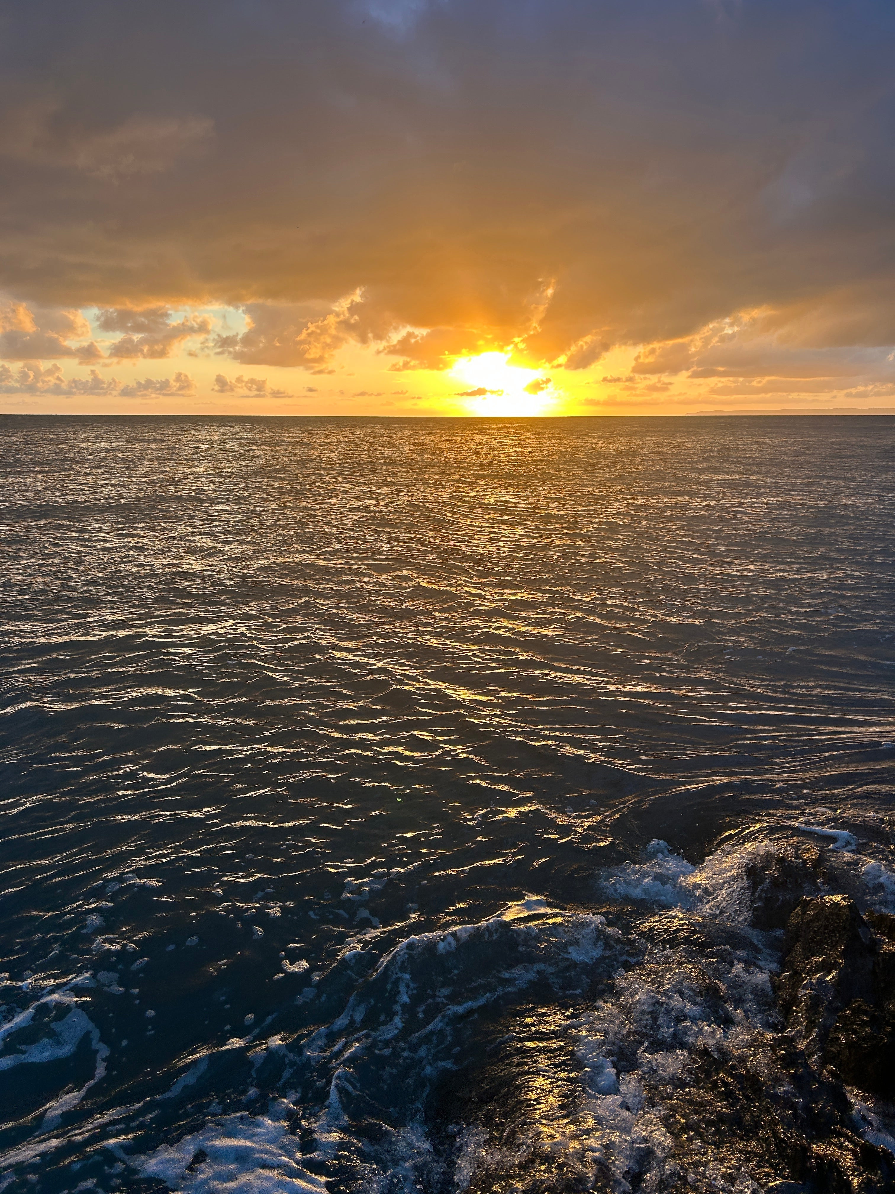 Tuna busting the surface, bonito, baitfish and lots of bass caught | Bass Lures UK