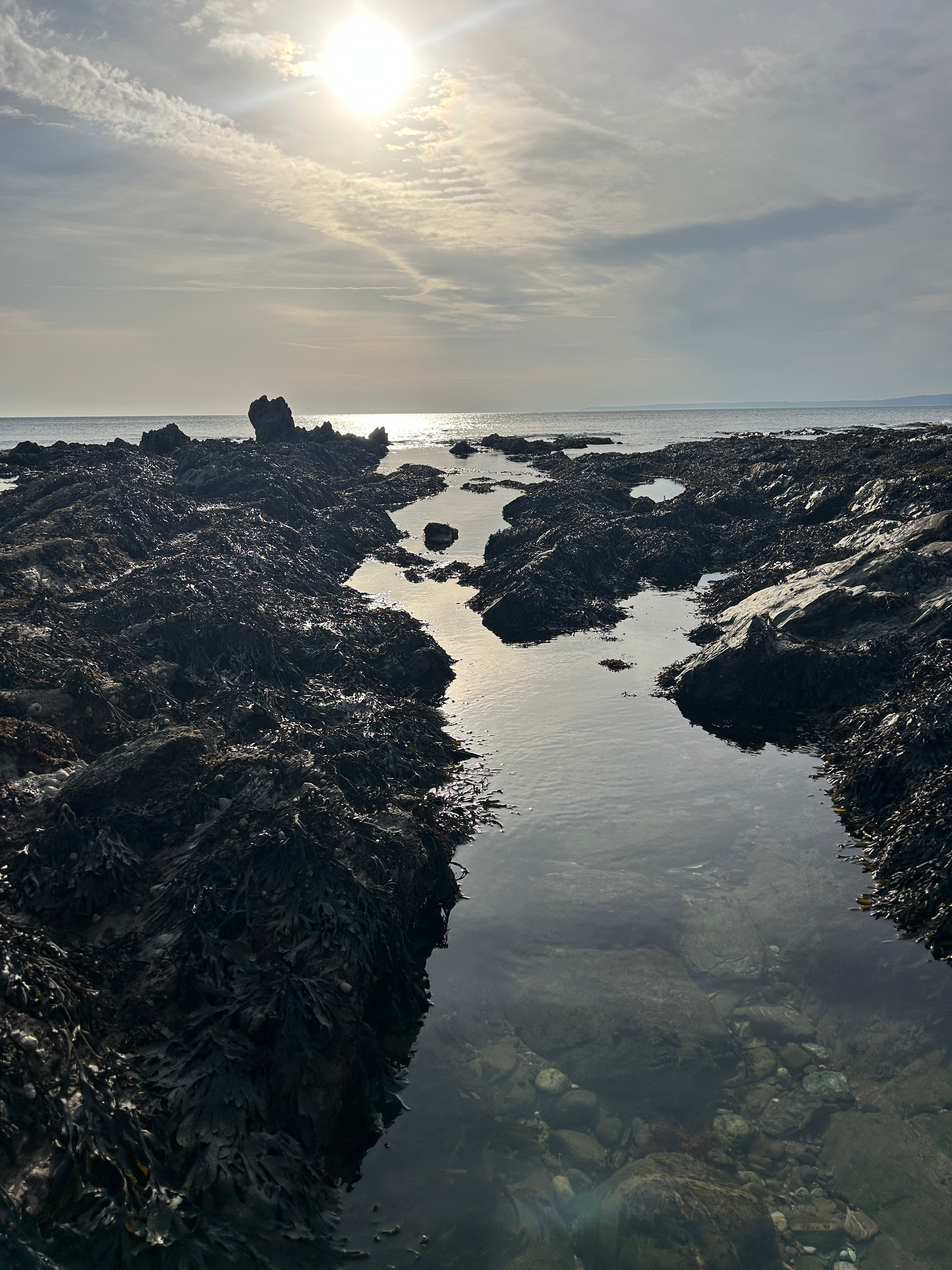Estuary v Open Water Lure Fishing for Bass | Bass Lures UK