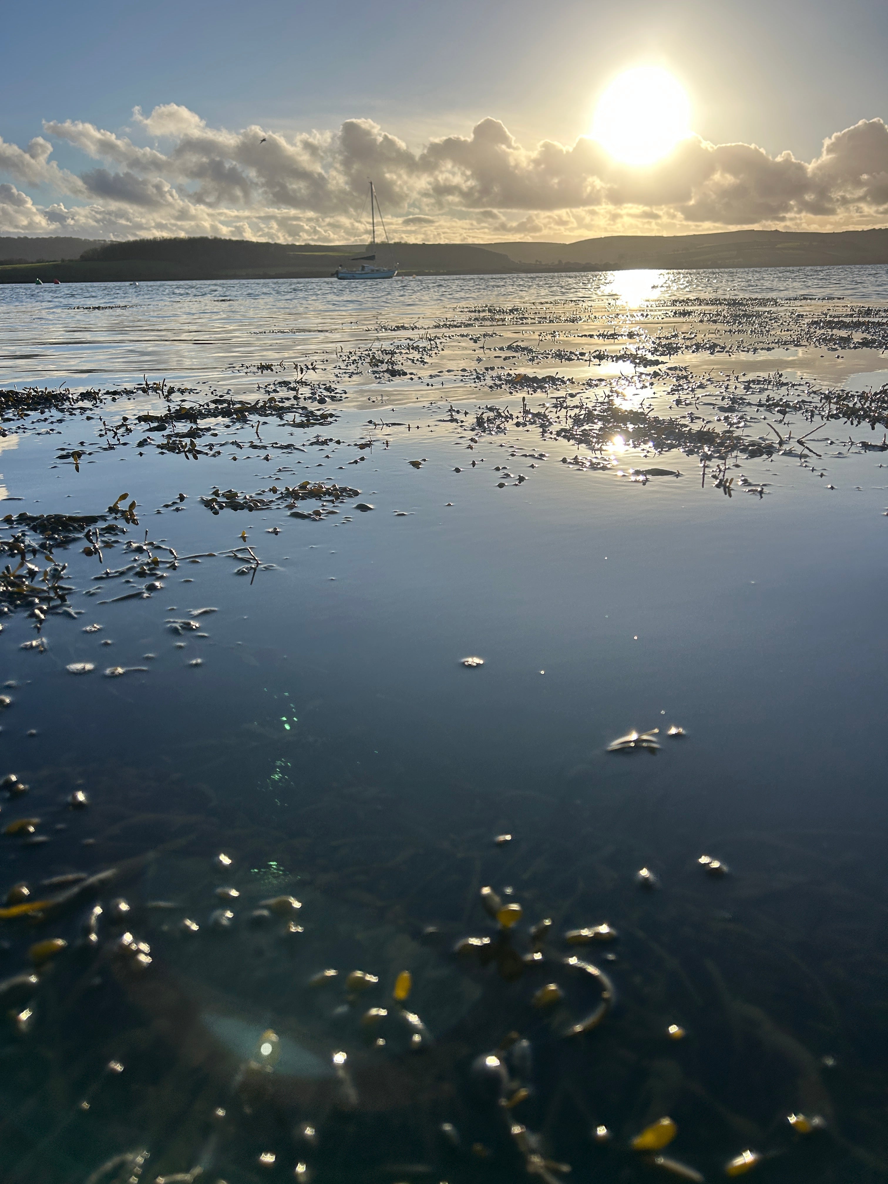 December Bass Lure Fishing Blog