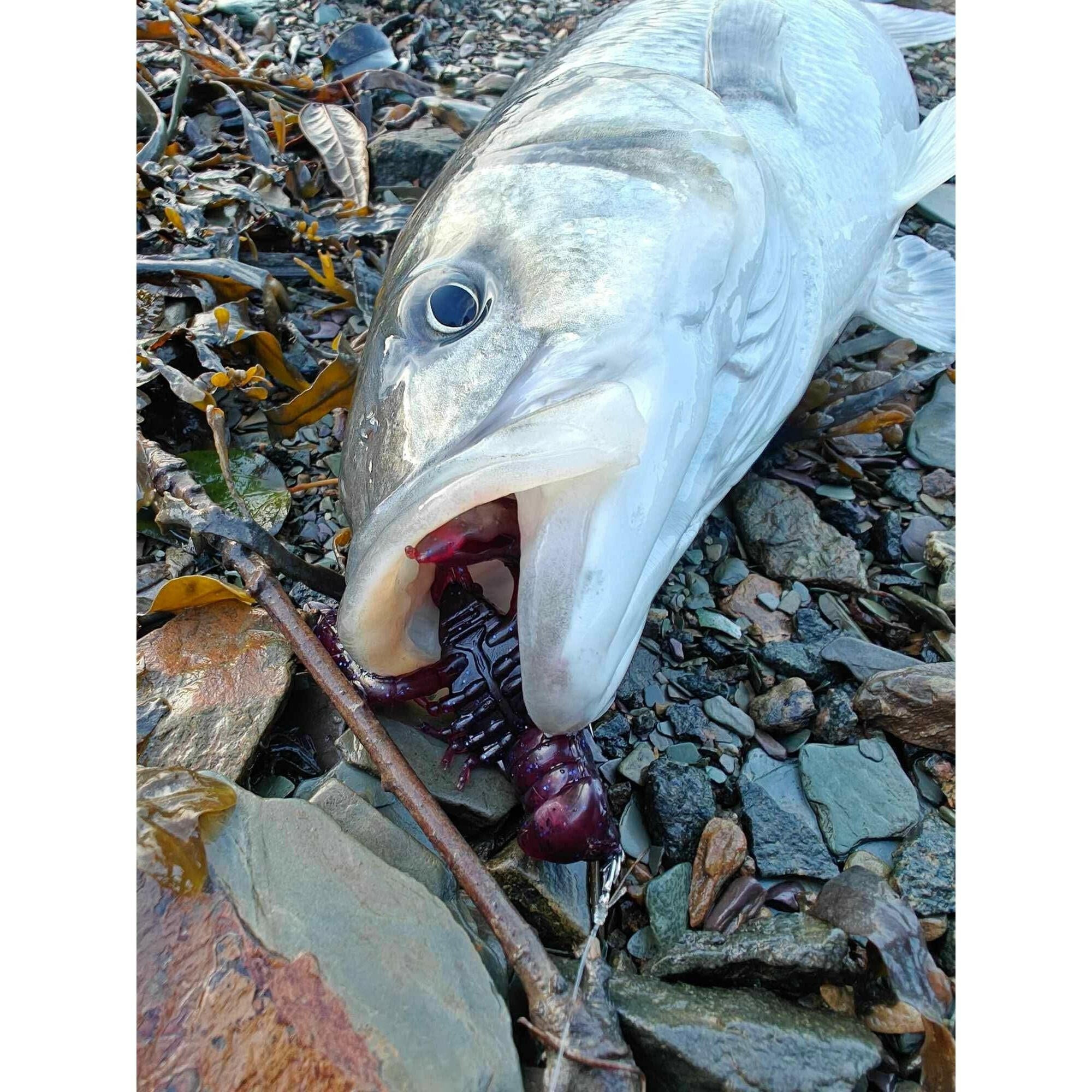 Small Creature Bait Bass Lures & Sets - Bass Lures UK