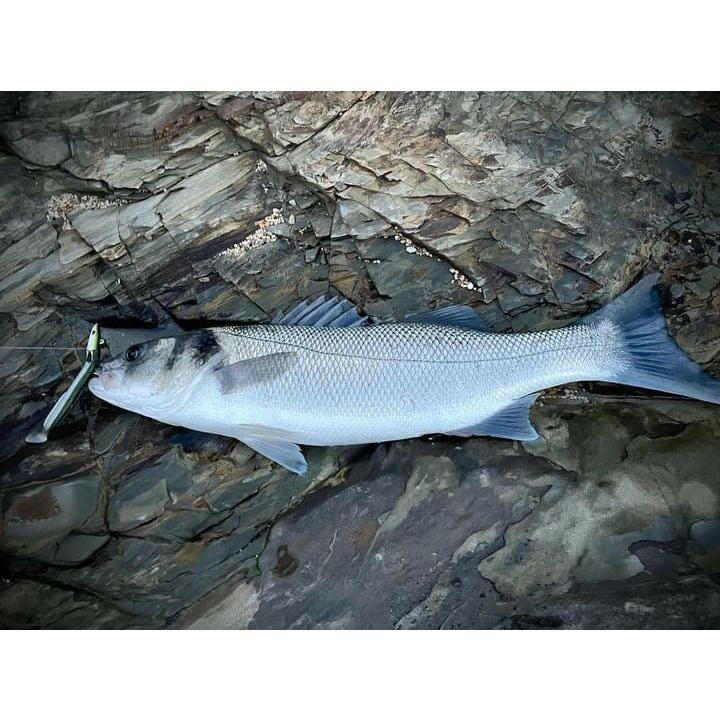 Weighted Sandeel Bass Lure 140mm & 110mm