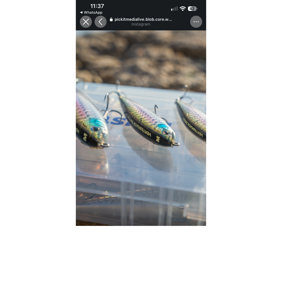 Small Surface Mustad Vertebrata Topwater Bass Lure 95mm 13g