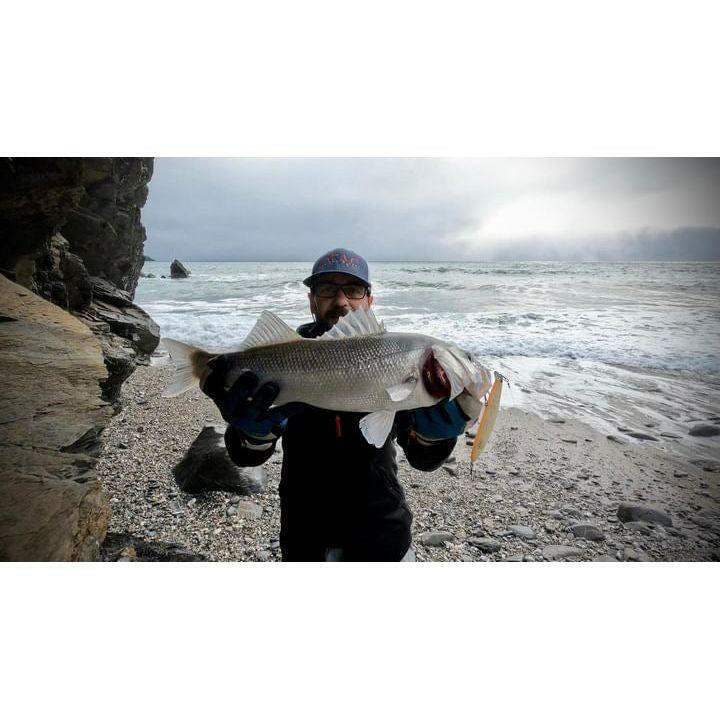 Medium Shallow Diving Gliding 2m Bass Lure 125mm 20g