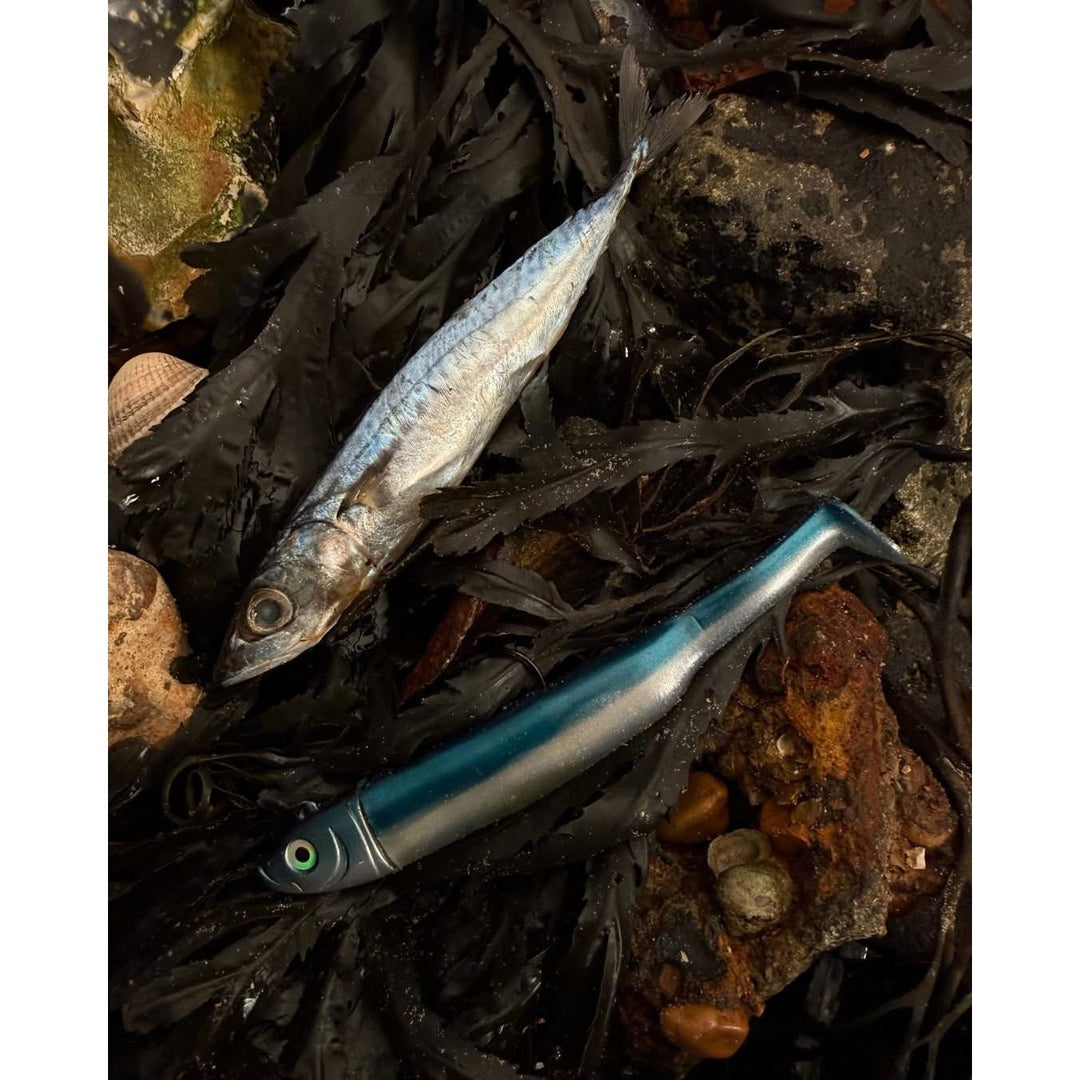 Drift Weedless Shoal Shad Double Combo Bass Lure