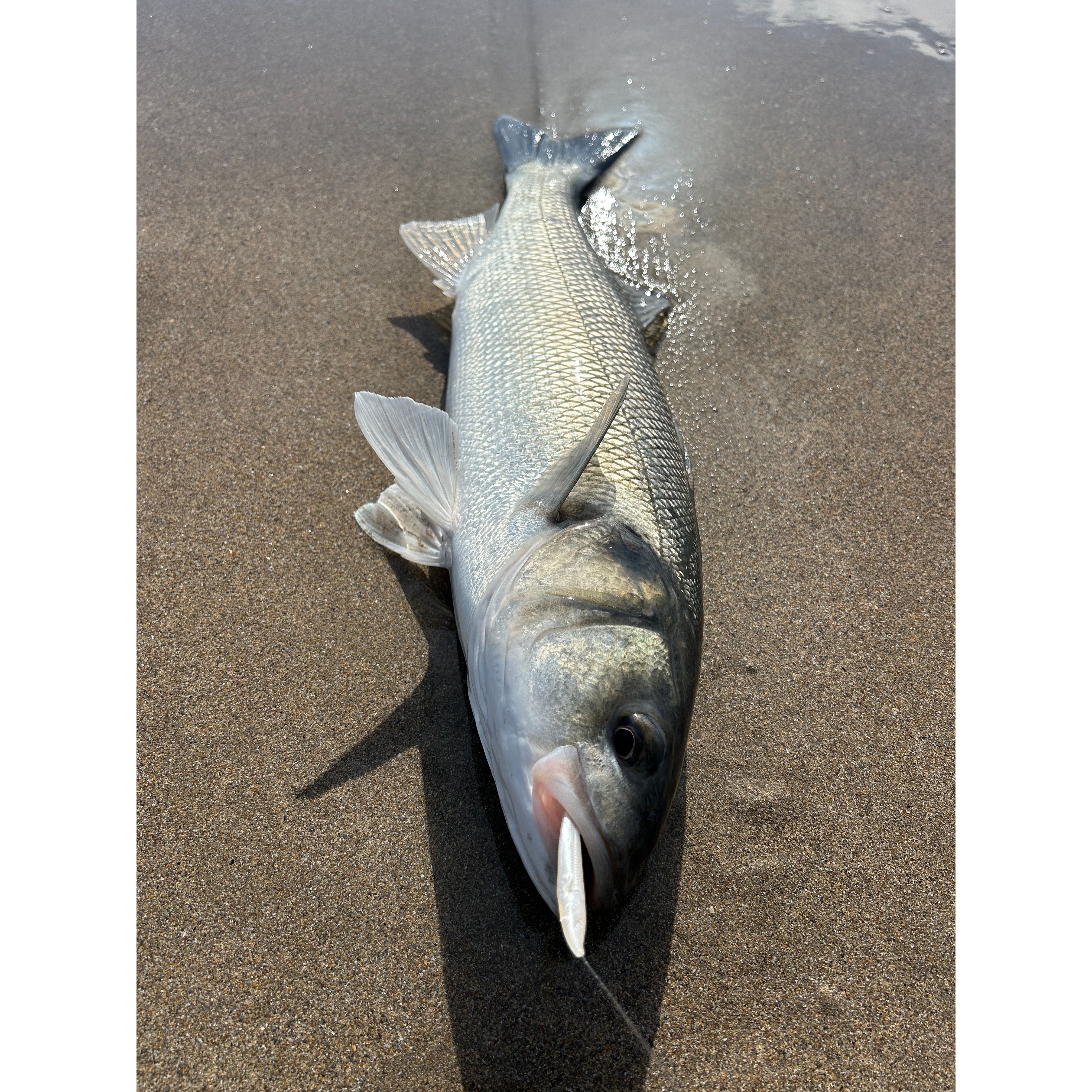 Red Gill Original Imitation Sandeel 115mm (Rascal)