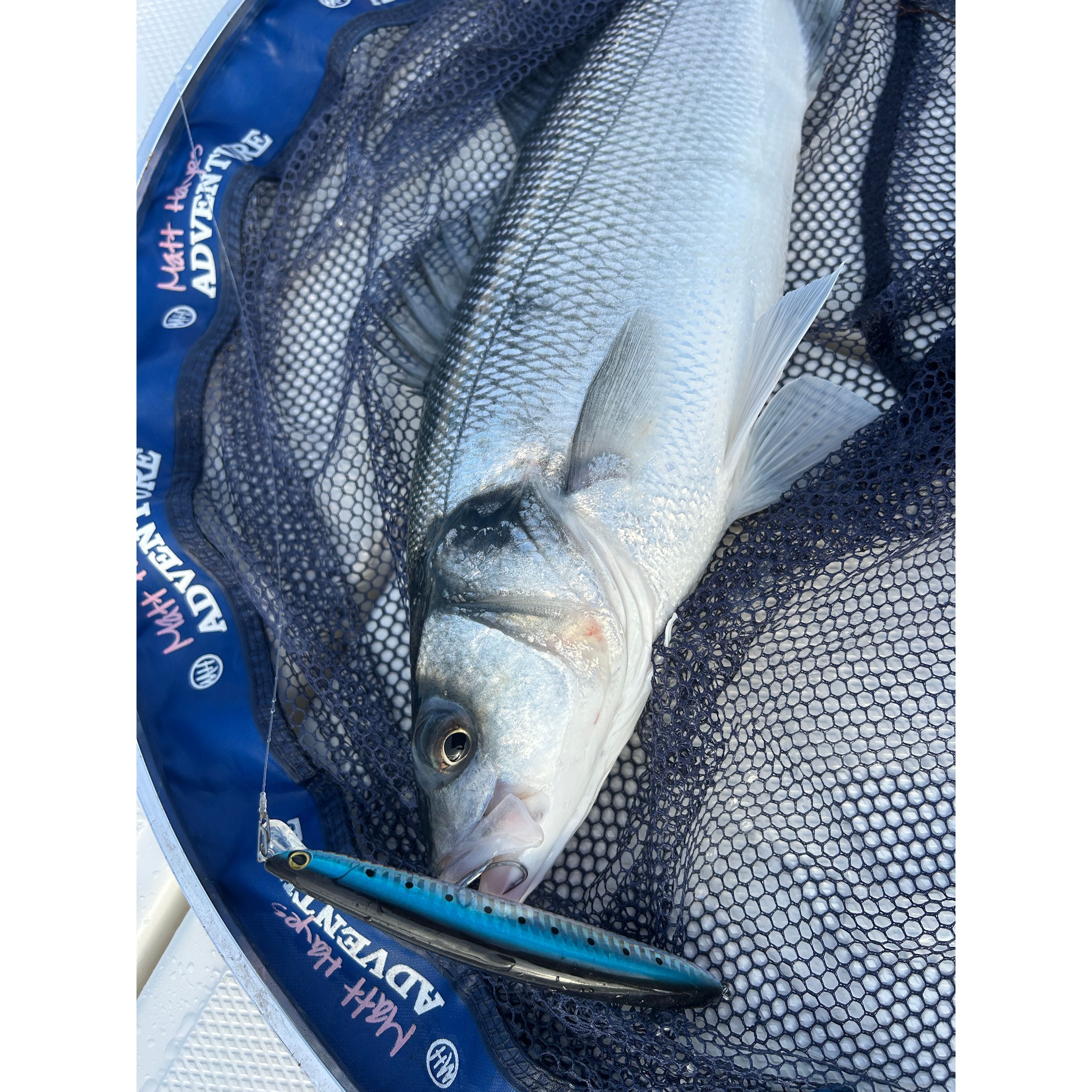 Medium Shallow Diving Gliding 2m Bass Lure 125mm 20g