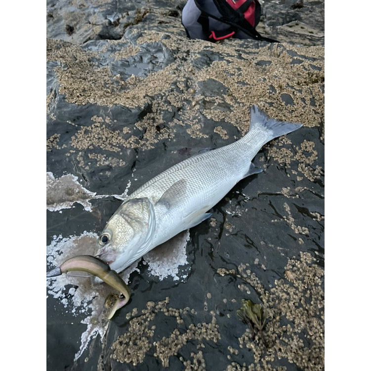 Cornish Cone Head Weedless Hooks | Bass Lures UK