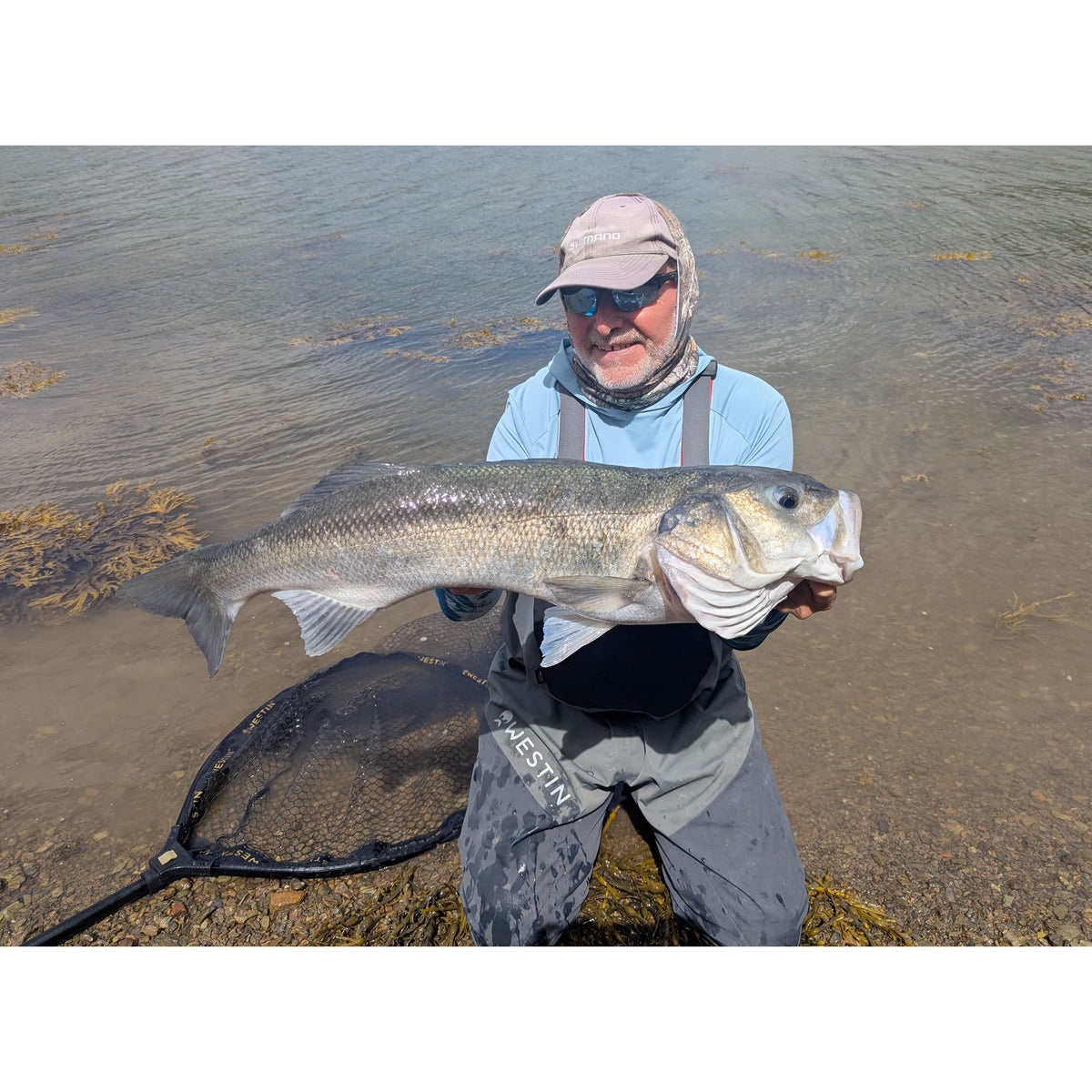Small Creature Bait Weighted Bass Lures
