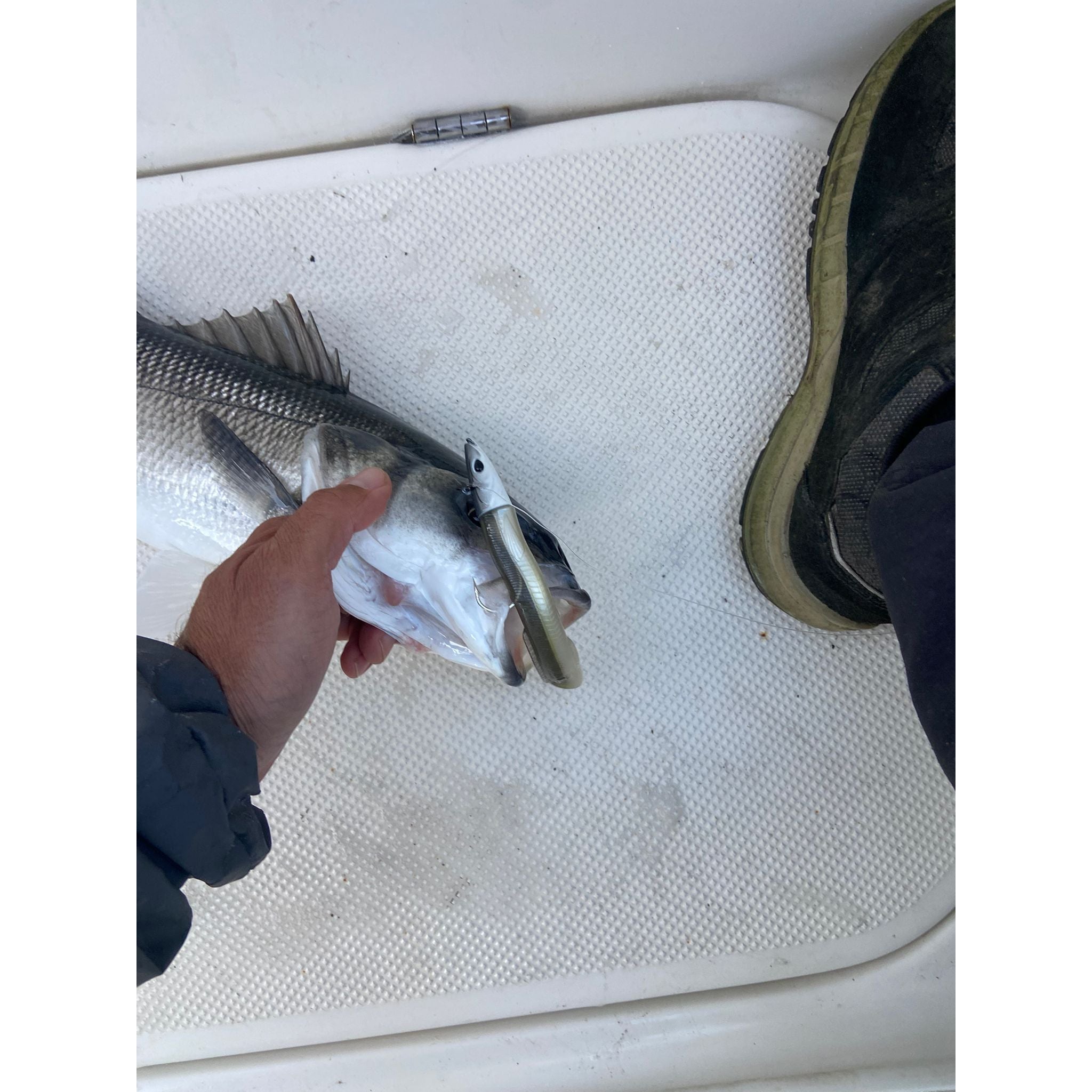 Weighted Sandeel Bass Lure 120/140/170mm