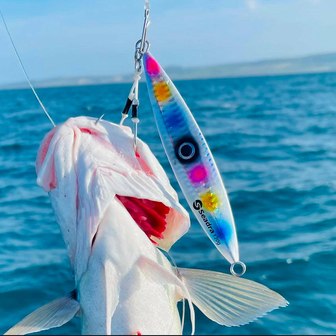 Seadra Strike Eye Slow Bass Jig Boat Lure - Bass Lures UK