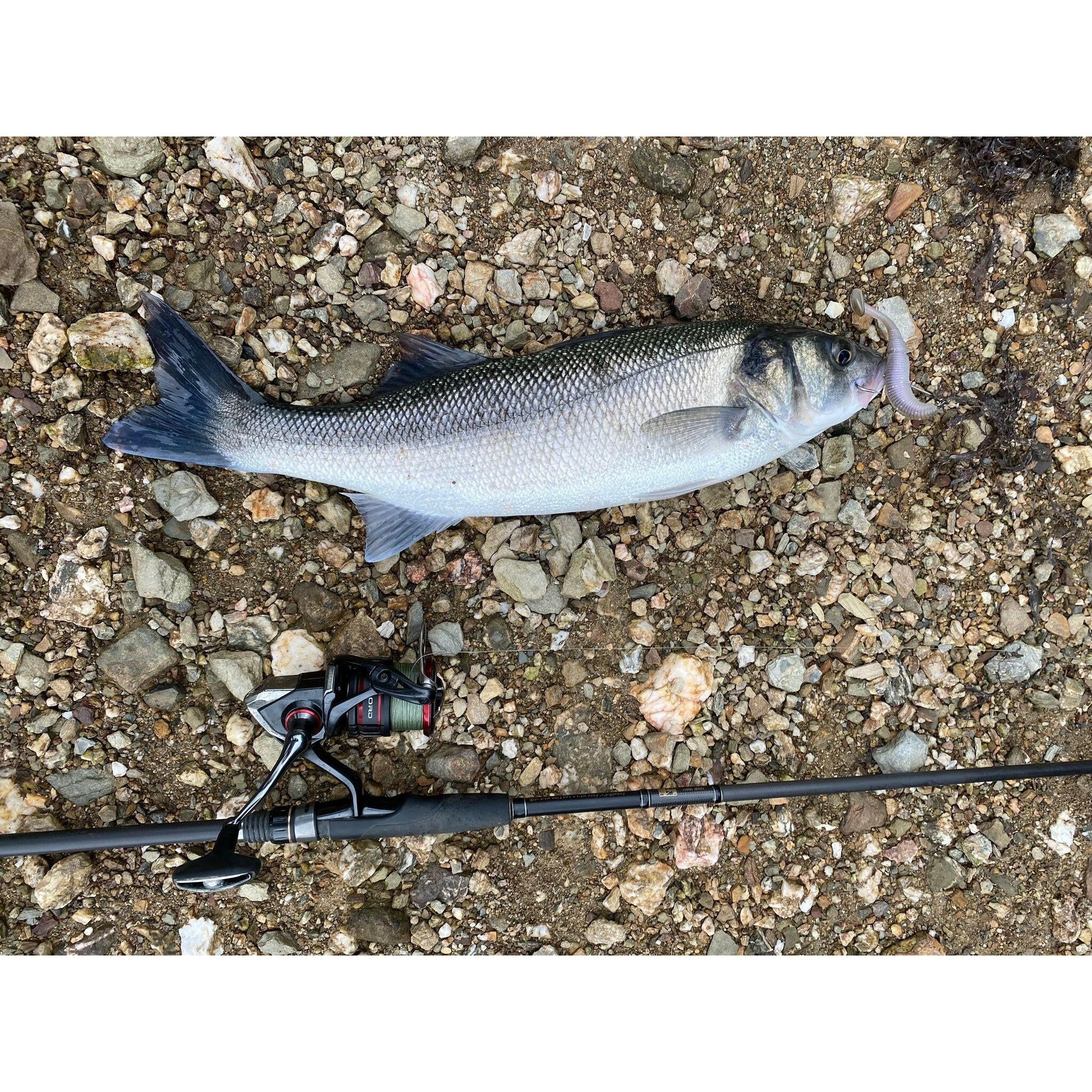 4.5” & 4” Ribbed Bass Lure Shad Set - Bass Lures UK