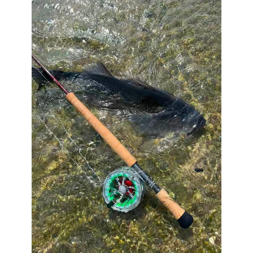 Saltwater Species Fly Packs