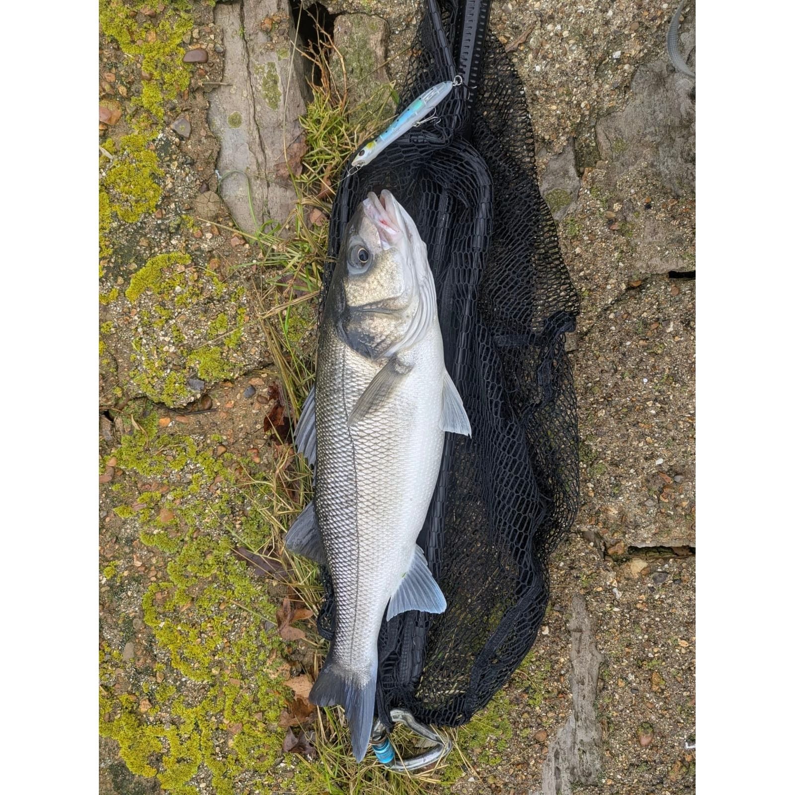 Small Surface Topwater Bass Lure 100mm 11g