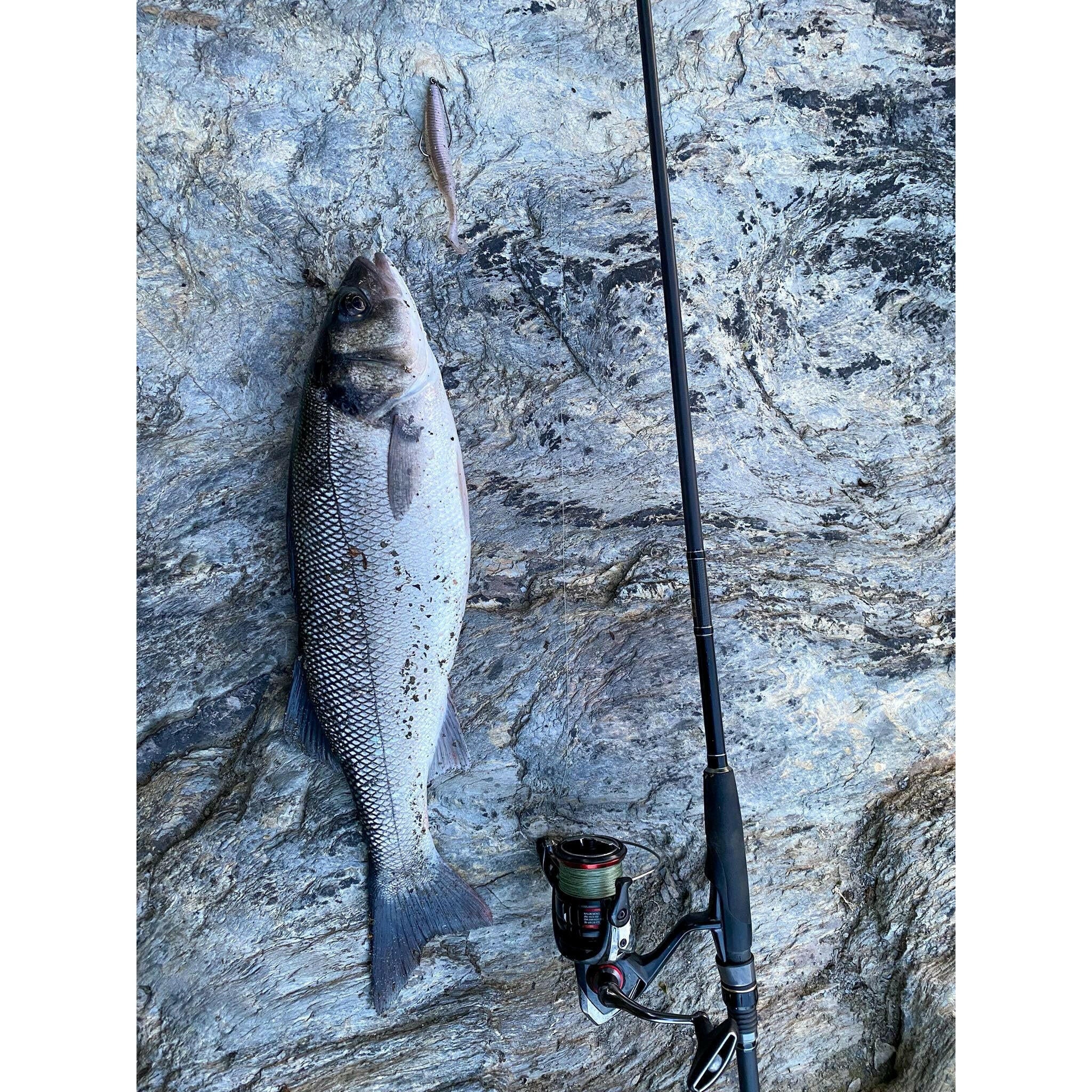5” Ribbed Shad Bass Lure Sets - Bass Lures UK