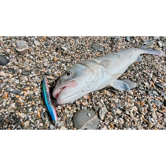 Medium Shallow Diving Gliding 2m Bass Lure 125mm 20g