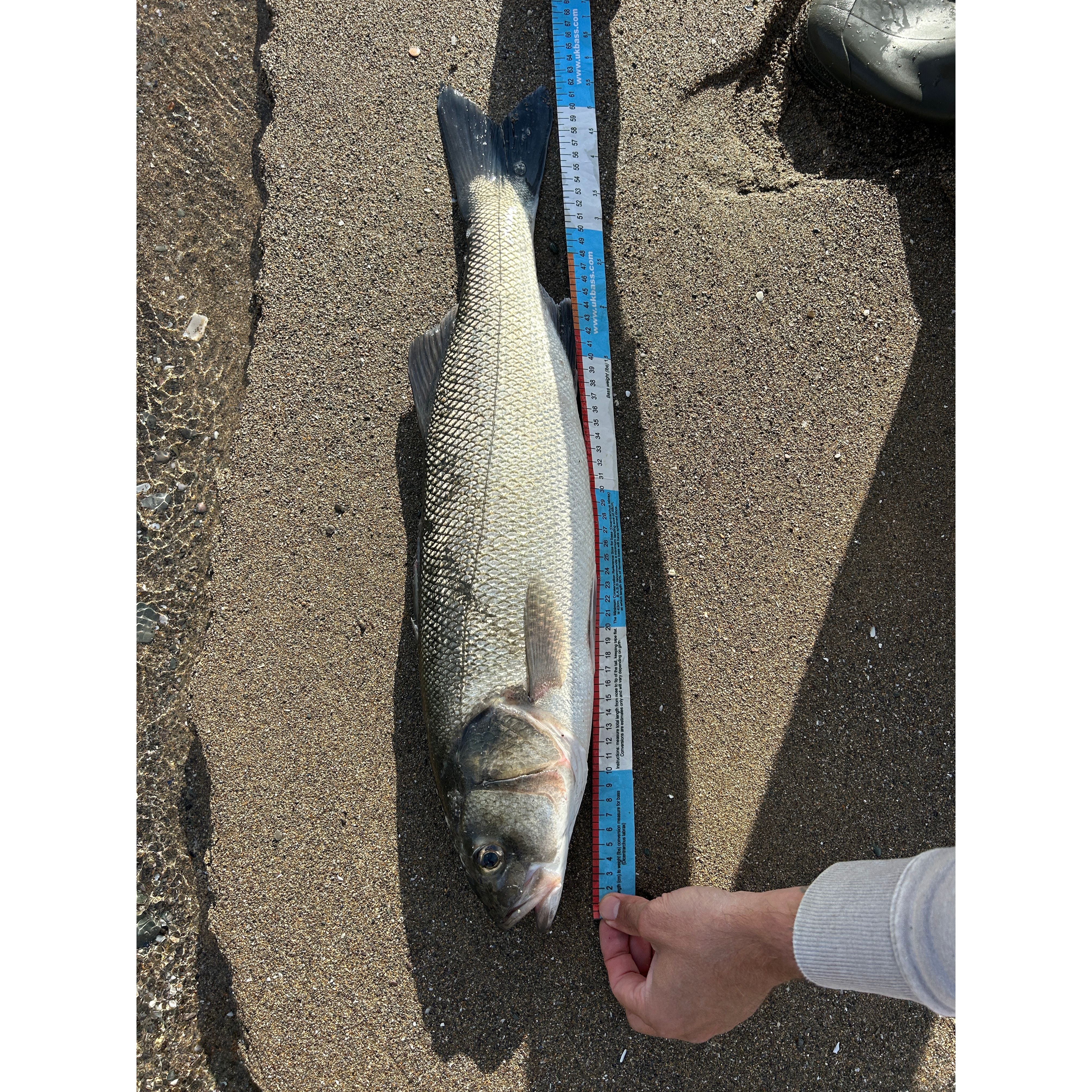 Red Gill Original Imitation Sandeel 115mm (Rascal)