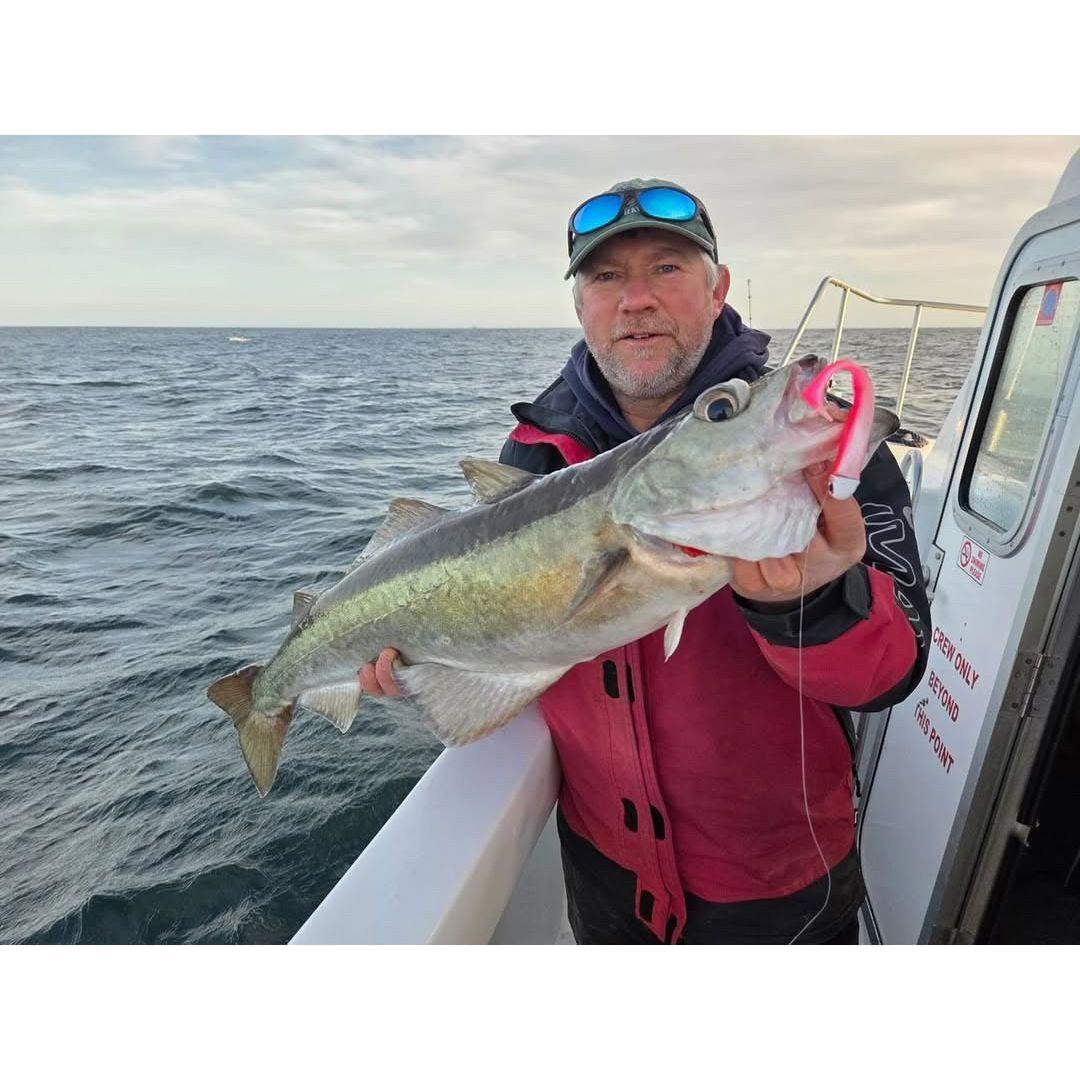 SEADRA PADDLE SHAD DOUBLE COMBO BASS LURE SET (NEW 2025) | Bass Lures UK