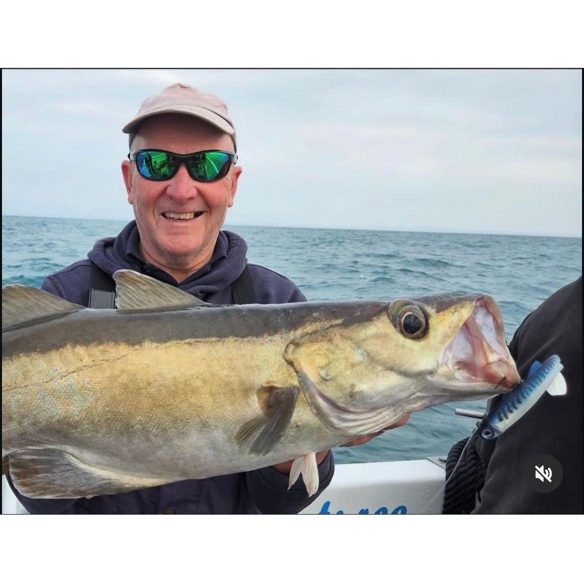 SEADRA PADDLE SHAD DOUBLE COMBO BASS LURE SET (NEW 2025) | Bass Lures UK