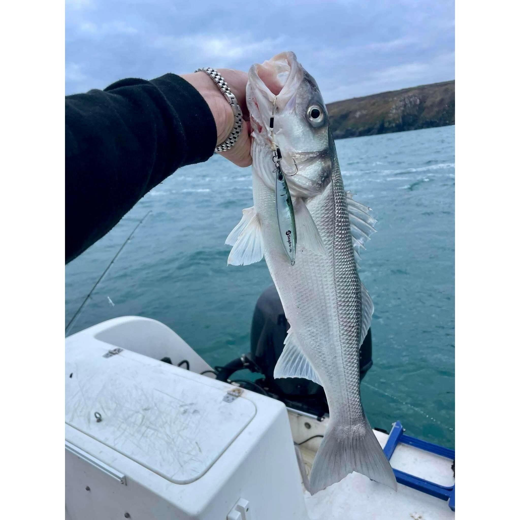 Seadra Slow Aqua - Drop Bass Lure Boat Jig (Slowey Joey) - Bass Lures UK