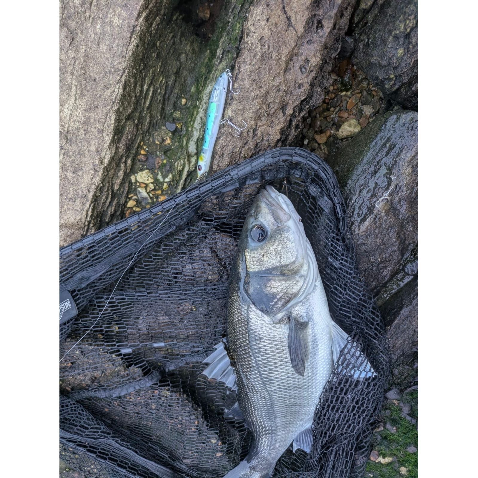 Small Surface Topwater Bass Lure 100mm 11g