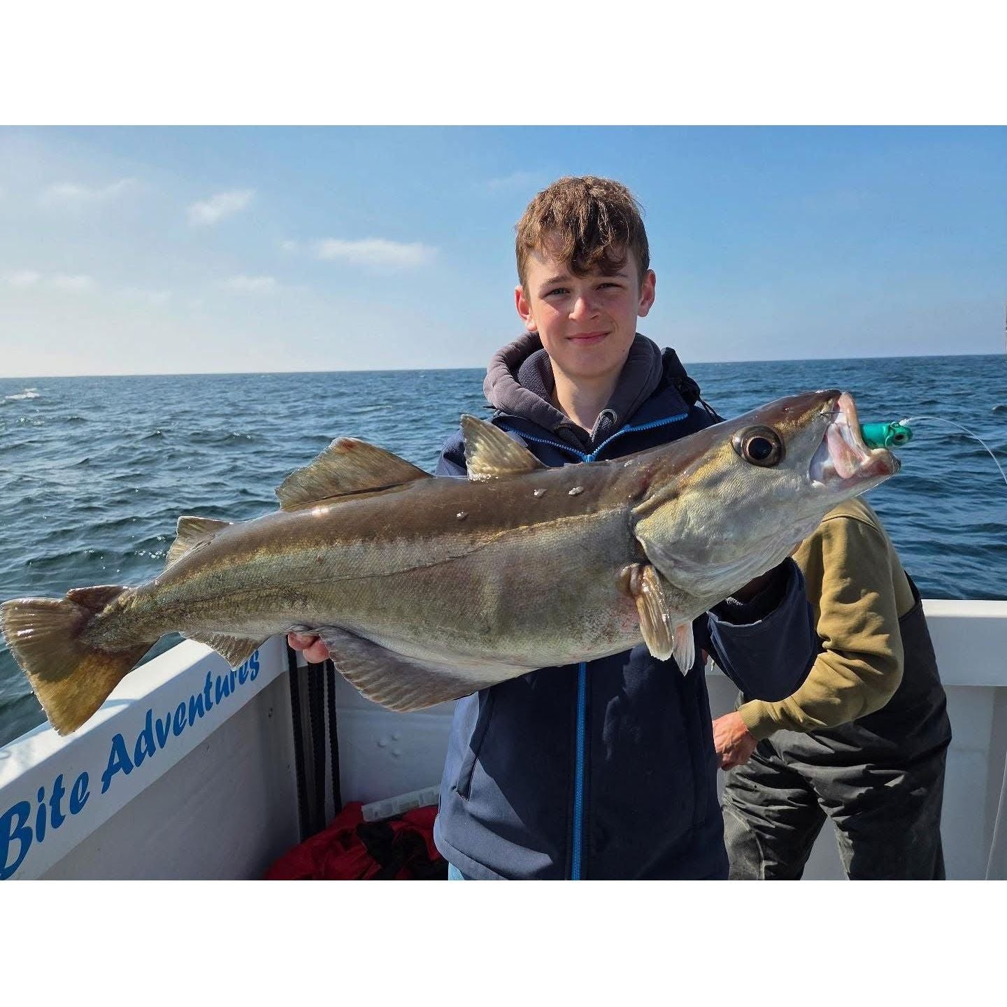 SEADRA PADDLE SHAD DOUBLE COMBO BASS LURE SET (NEW 2025) | Bass Lures UK