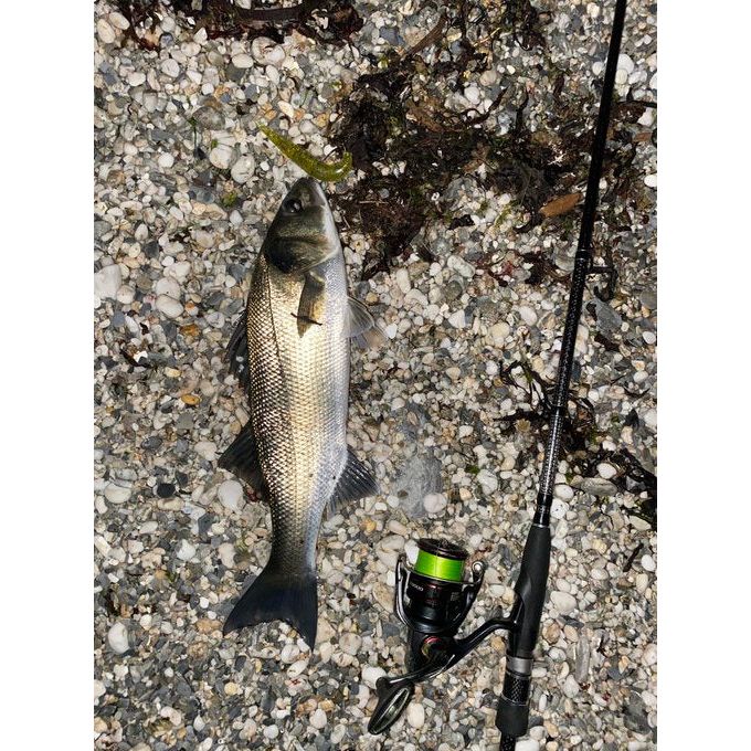 Handmade Cornish Snax Bass Lure Sets