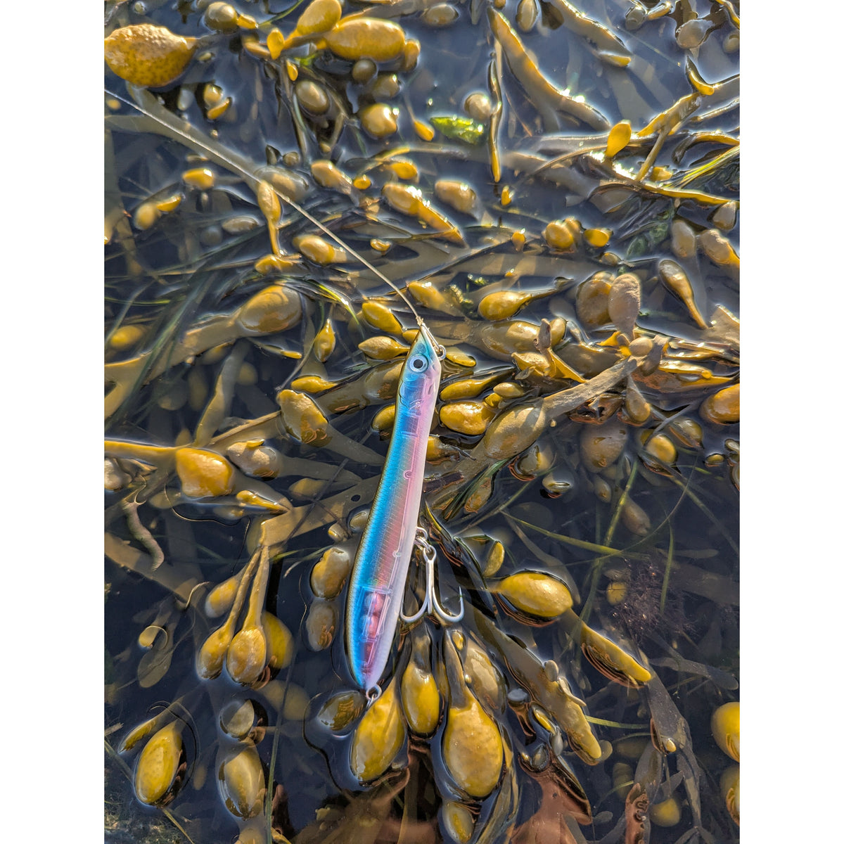 Small Surface Topwater Bass Lure 100mm 11g