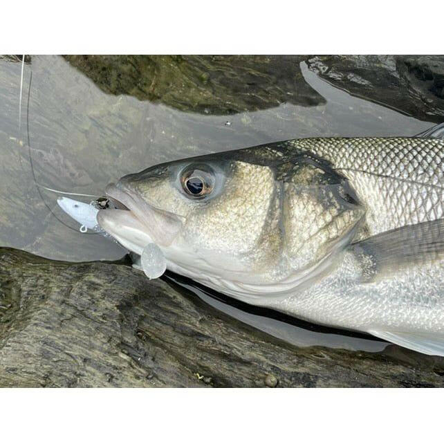 Weighted Sandeel Bass Lure 120mm 23g - Bass Lures UK