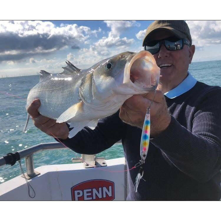 Seadra Aqua - Bullet Bait Fish Casting Bass Jig - Bass Lures UK