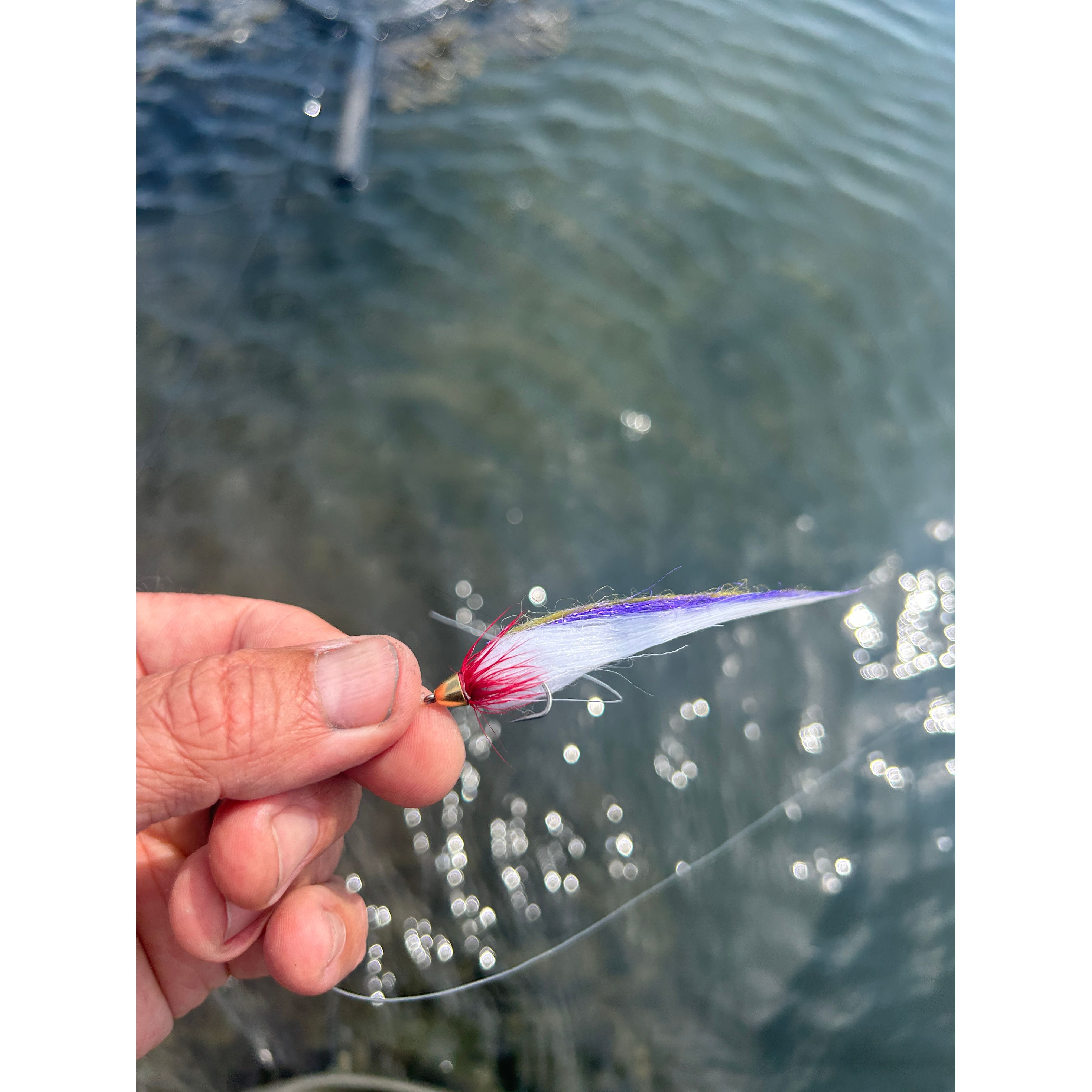 Saltwater Species Fly Packs