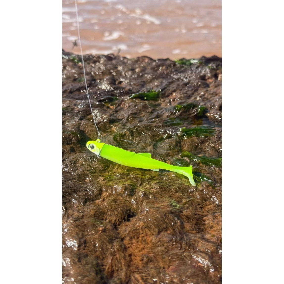 SEADRA PADDLE SHAD DOUBLE COMBO BASS LURE SET (NEW 2025)