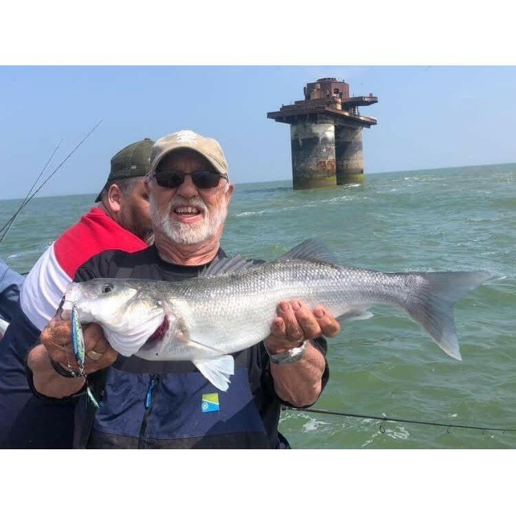 Seadra 3D Live Scale Baitfish Bass Lure - Bass Lures UK