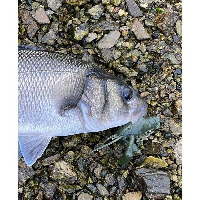 Small Creature Bait Bass Lures & Sets - Bass Lures UK