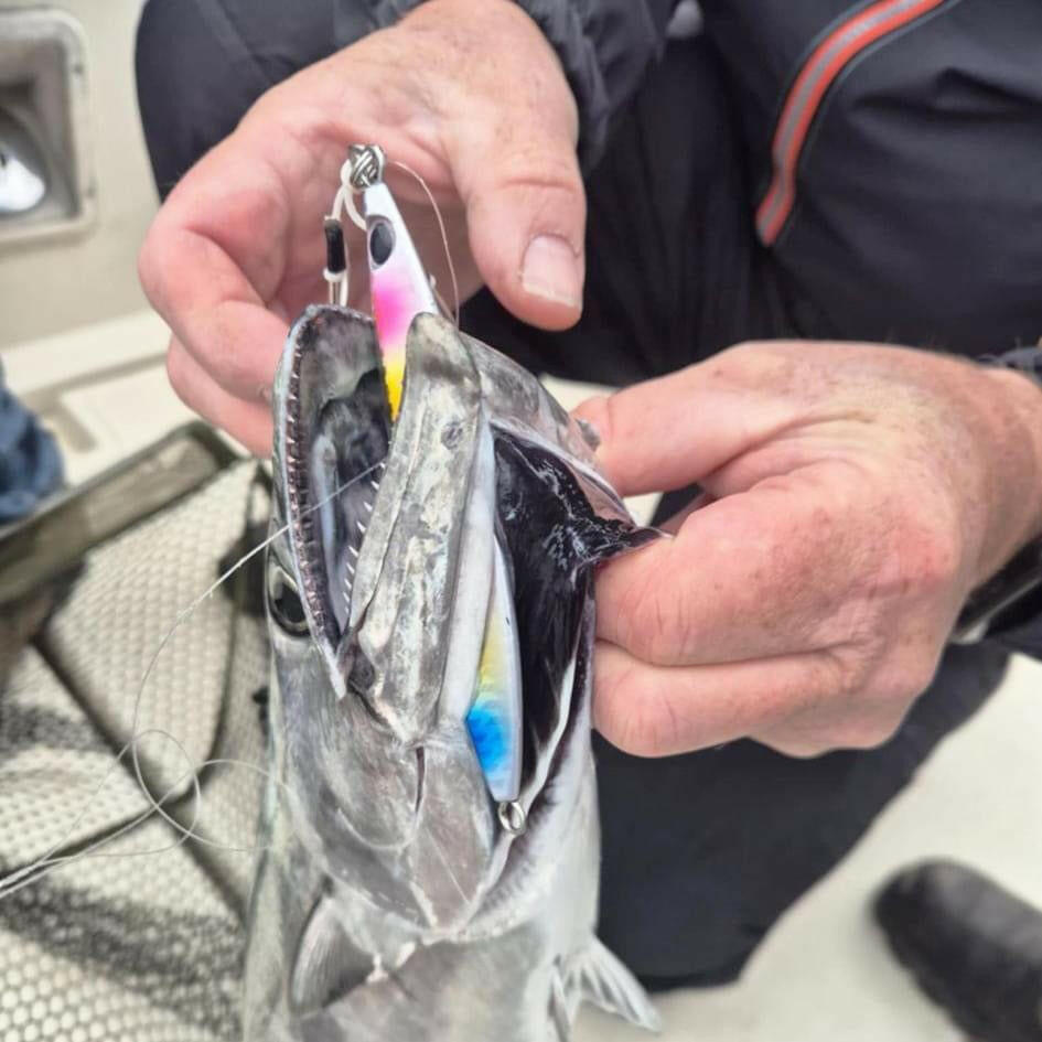 Seadra Slow Aqua - Drop Bass Lure Boat Jig - Bass Lures UK