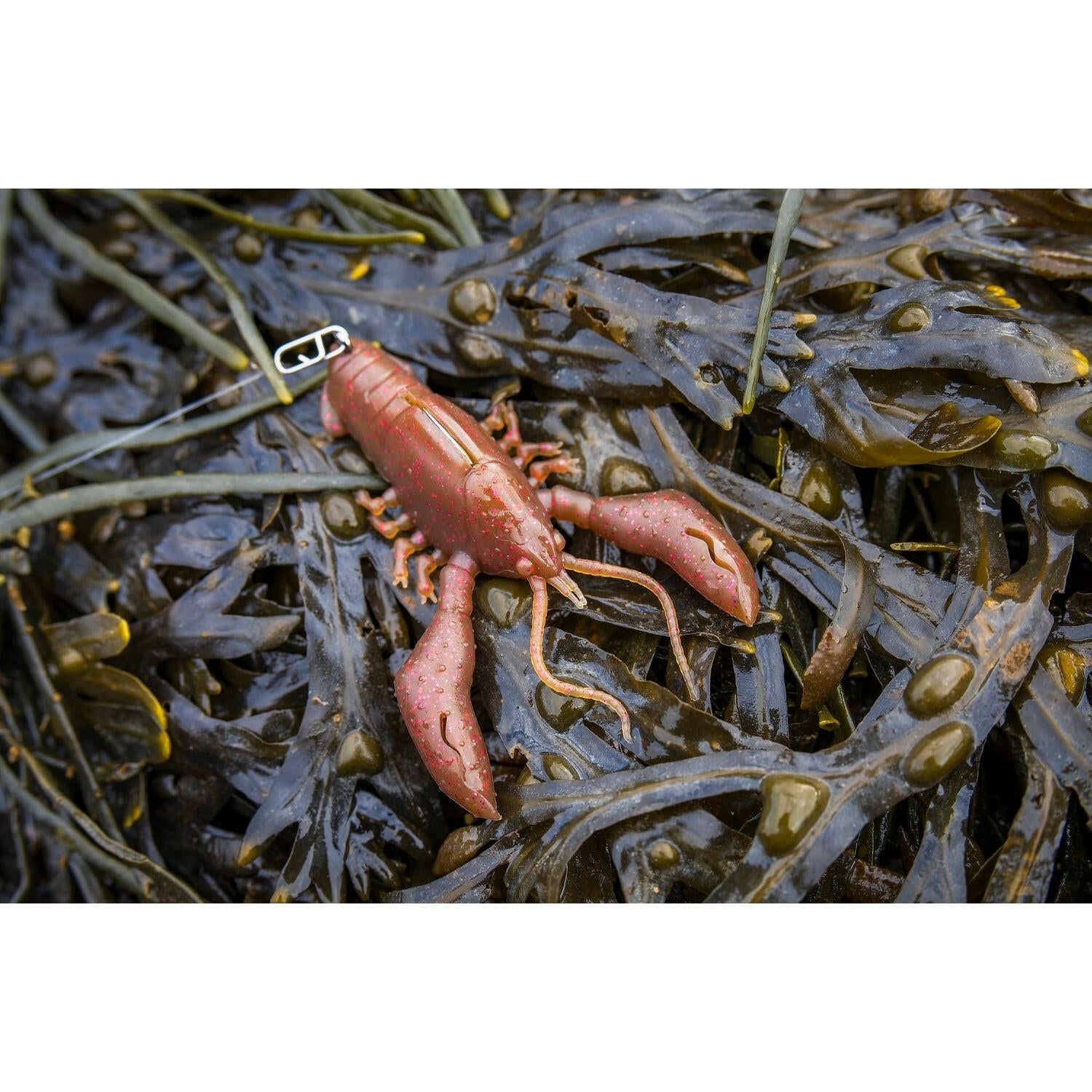 Small Creature Bait Bass Lures & Sets - Bass Lures UK