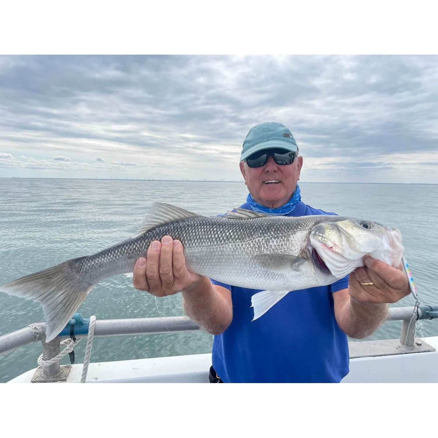 Seadra Aqua-Bullet Bait Fish Casting Bass Jig