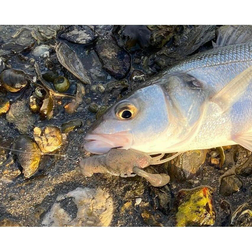 Small Creature Bait Bass Lures & Sets - Bass Lures UK