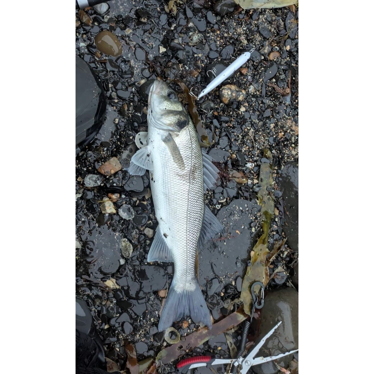 Large Shallow Diving 1.5m Bass Lure 130mm 21g