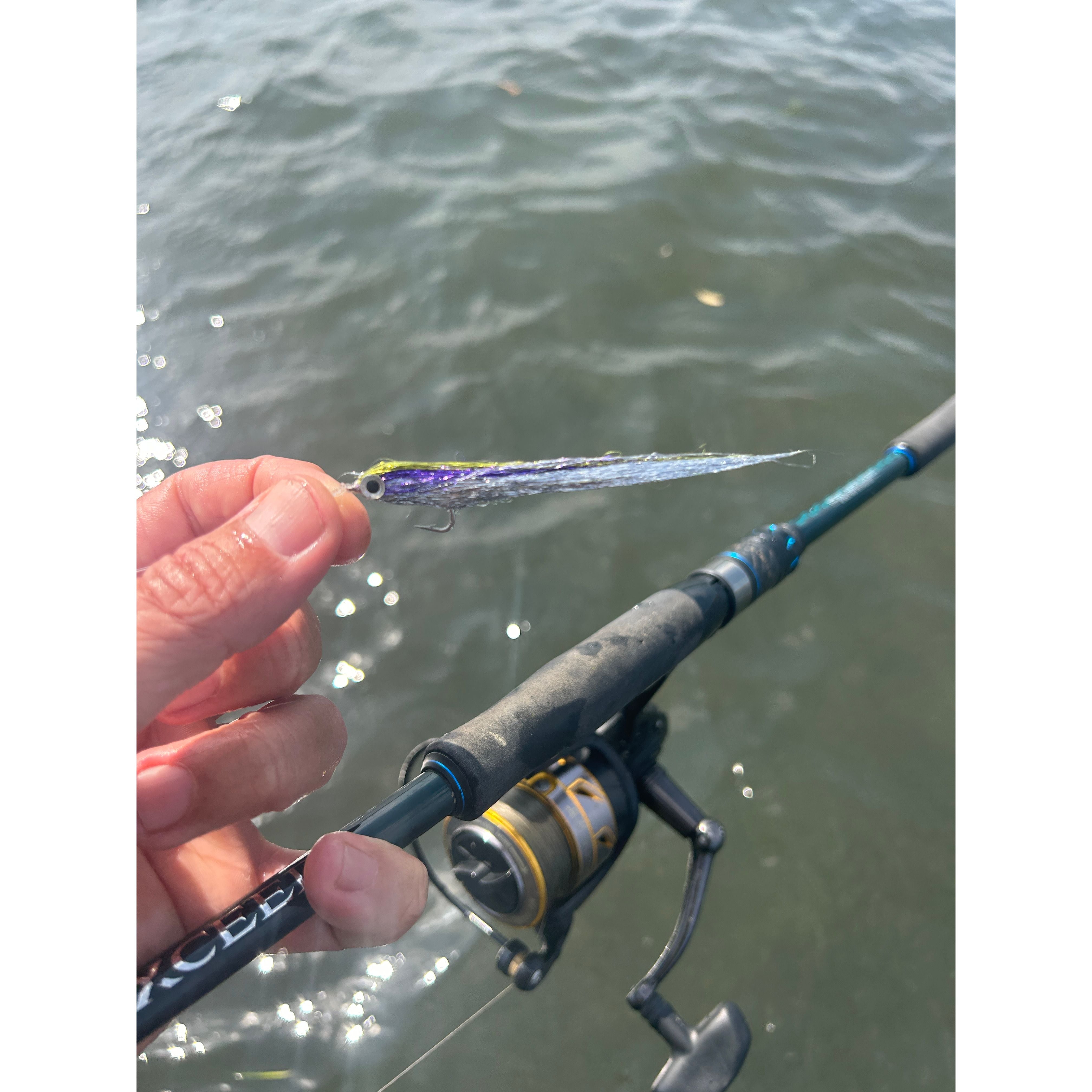 Saltwater Species Fly Packs