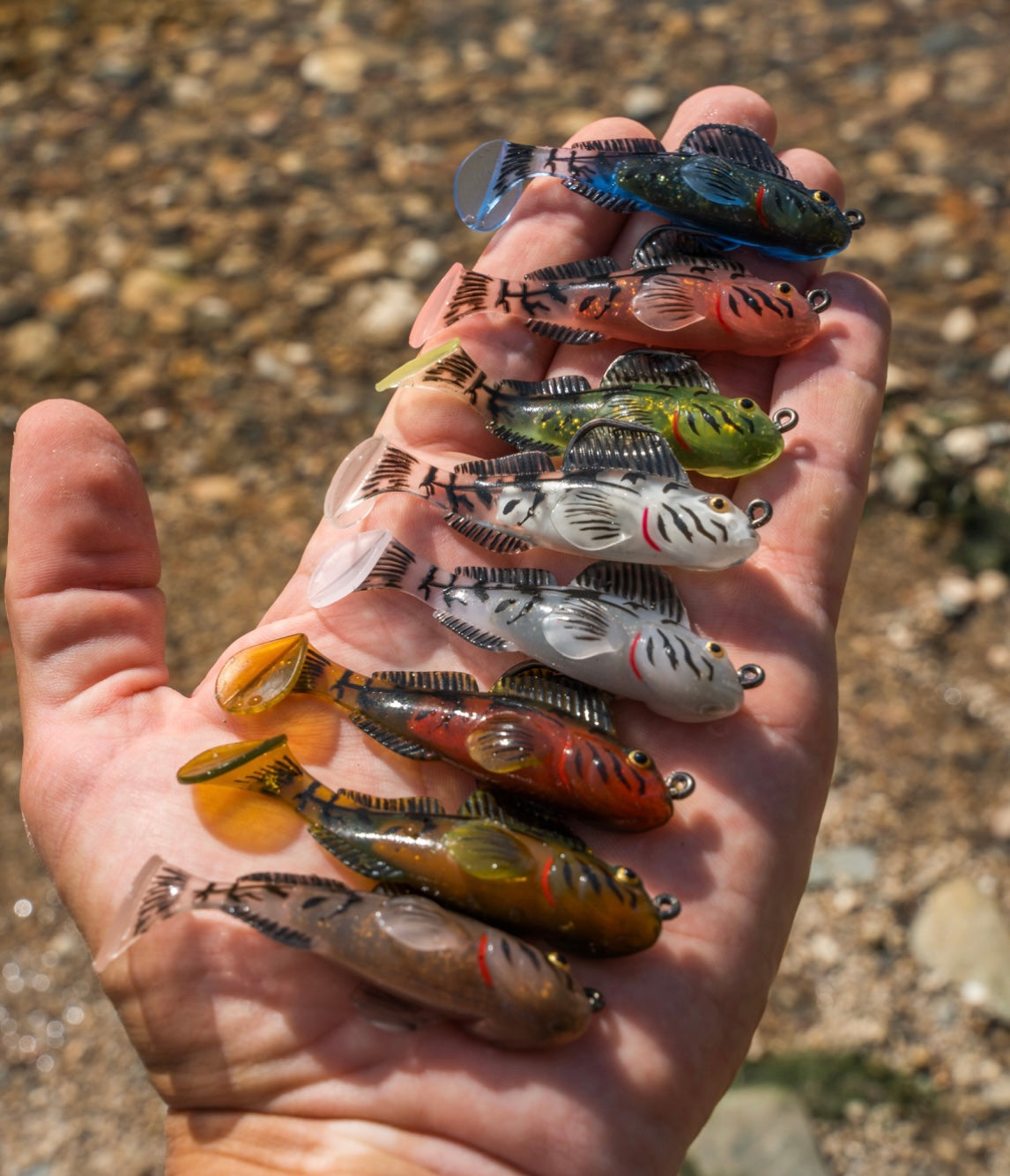 Live Target Goby 2.0 Rigged Creature Bait