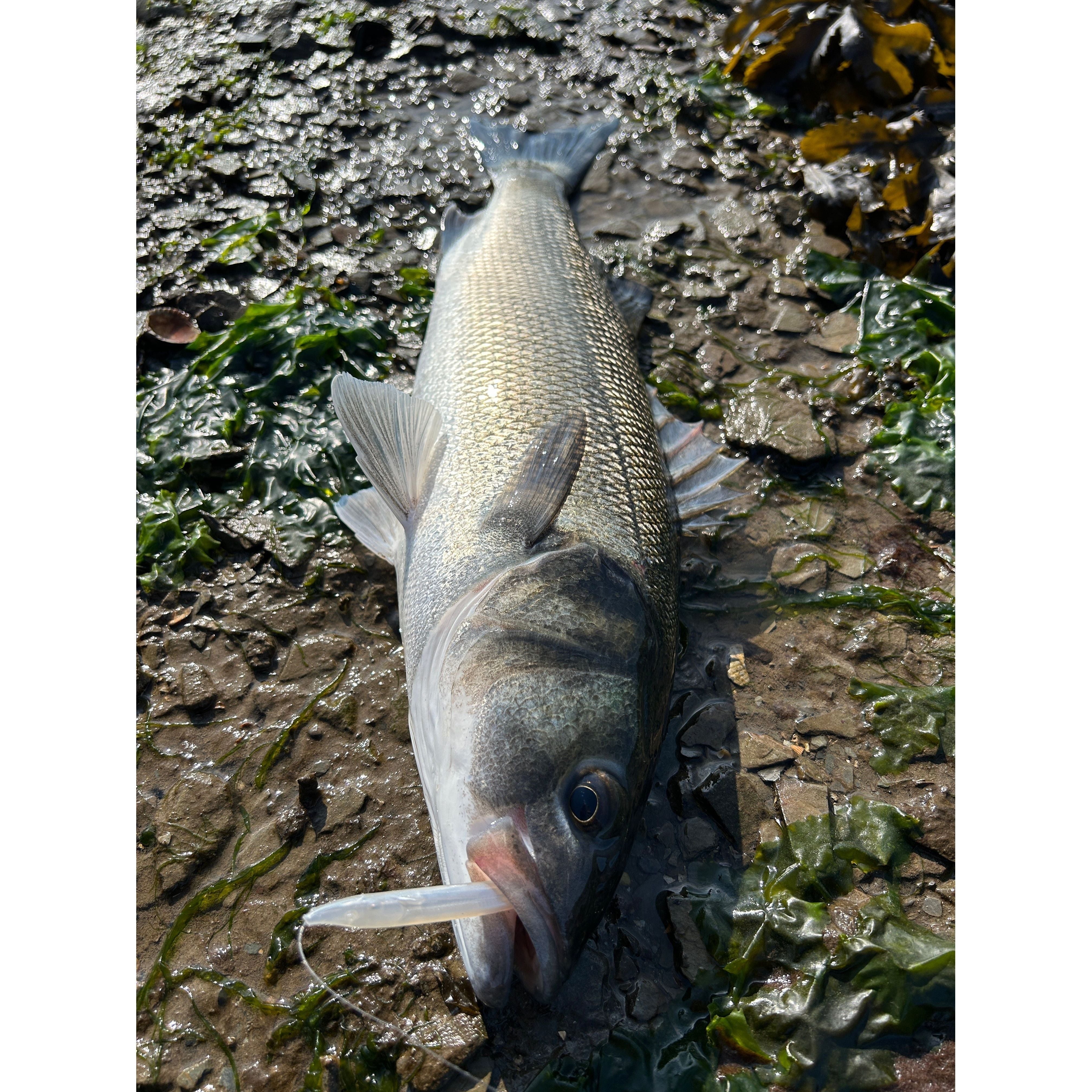 Red Gill Original Imitation Sandeel 115mm (Rascal)