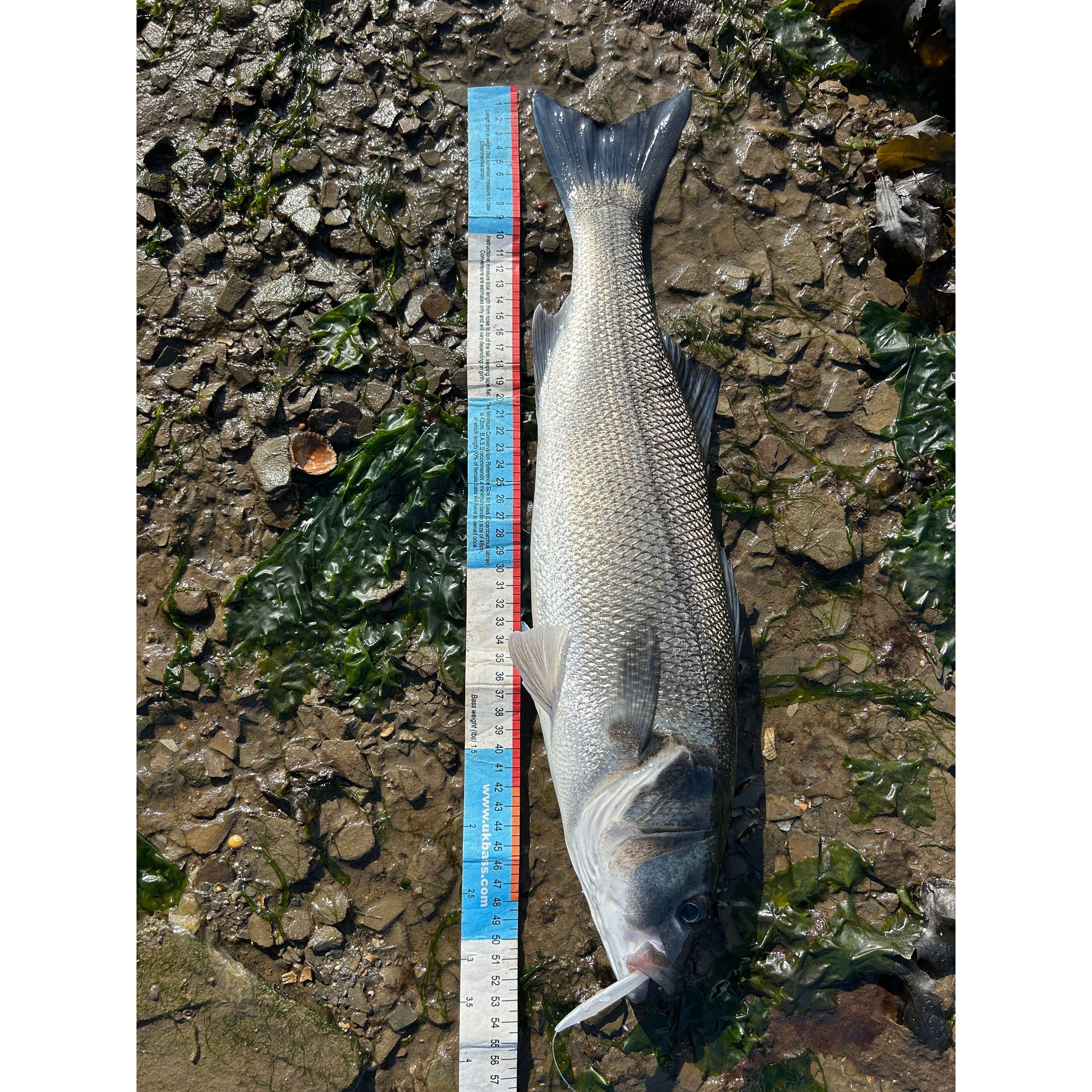 Red Gill Original Imitation Sandeel 115mm (Rascal)