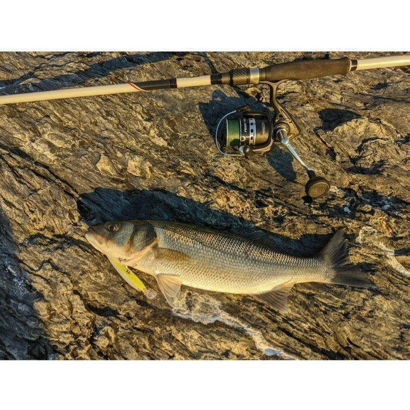 Large Deep Diving 3m Bass Lure 110mm 37g - Bass Lures UK