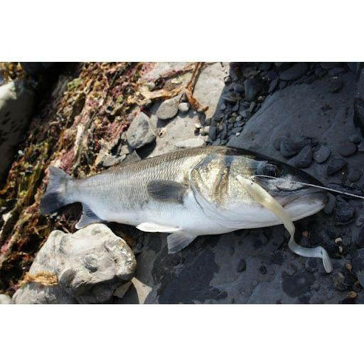 Red Gill Evolution Bass Lures - Bass Lures UK