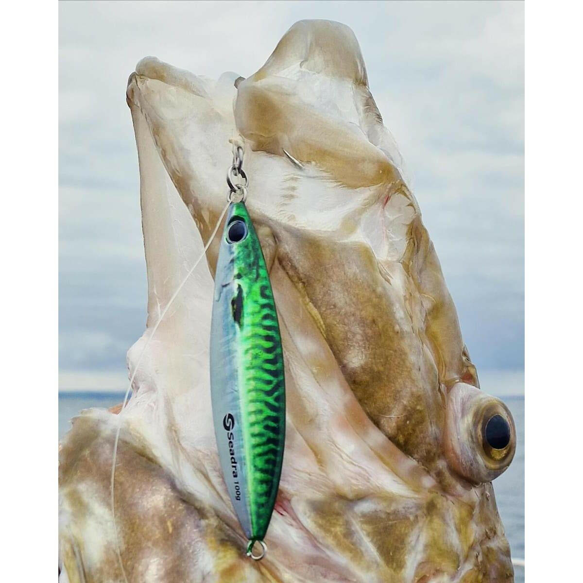 Seadra Slow Aqua - Drop Bass Lure Boat Jig (Slowey Joey) - Bass Lures UK