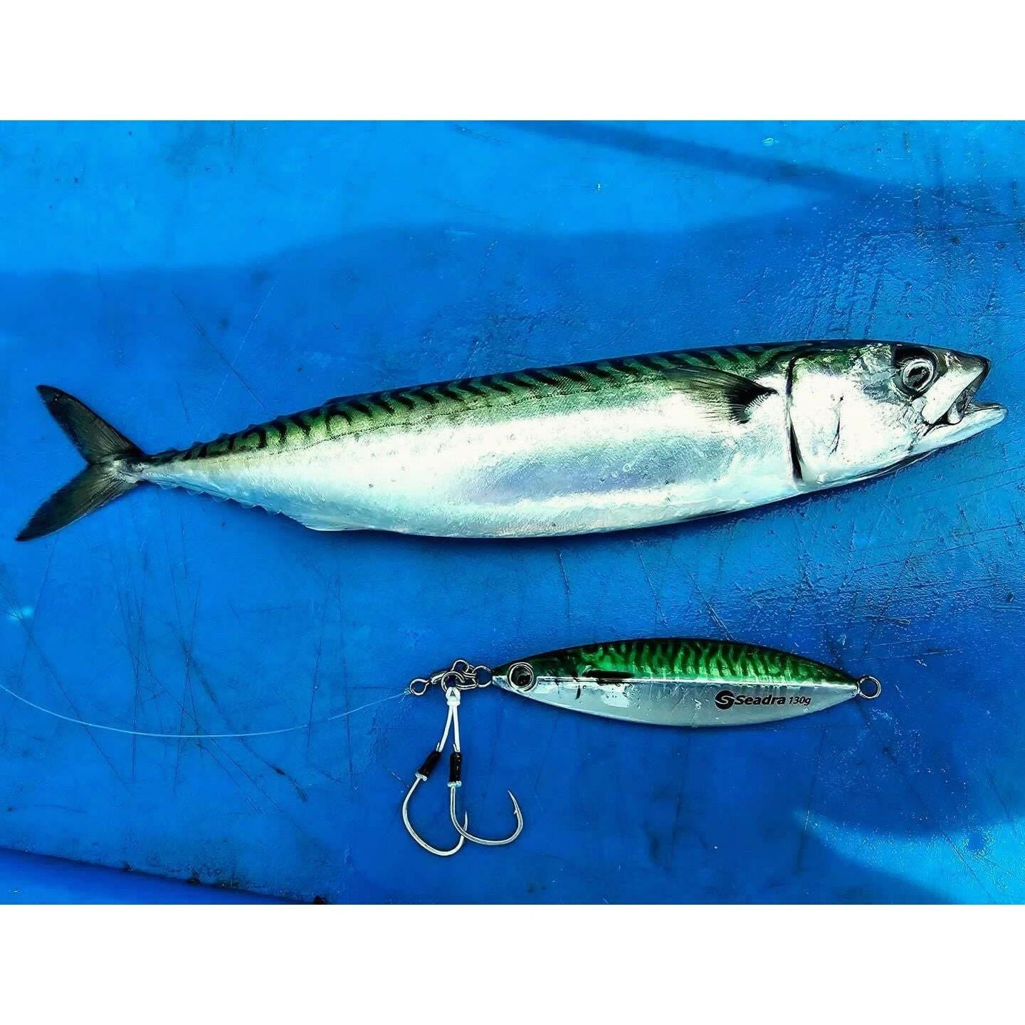 Seadra Slow Aqua - Drop Bass Lure Boat Jig (Slowey Joey) - Bass Lures UK