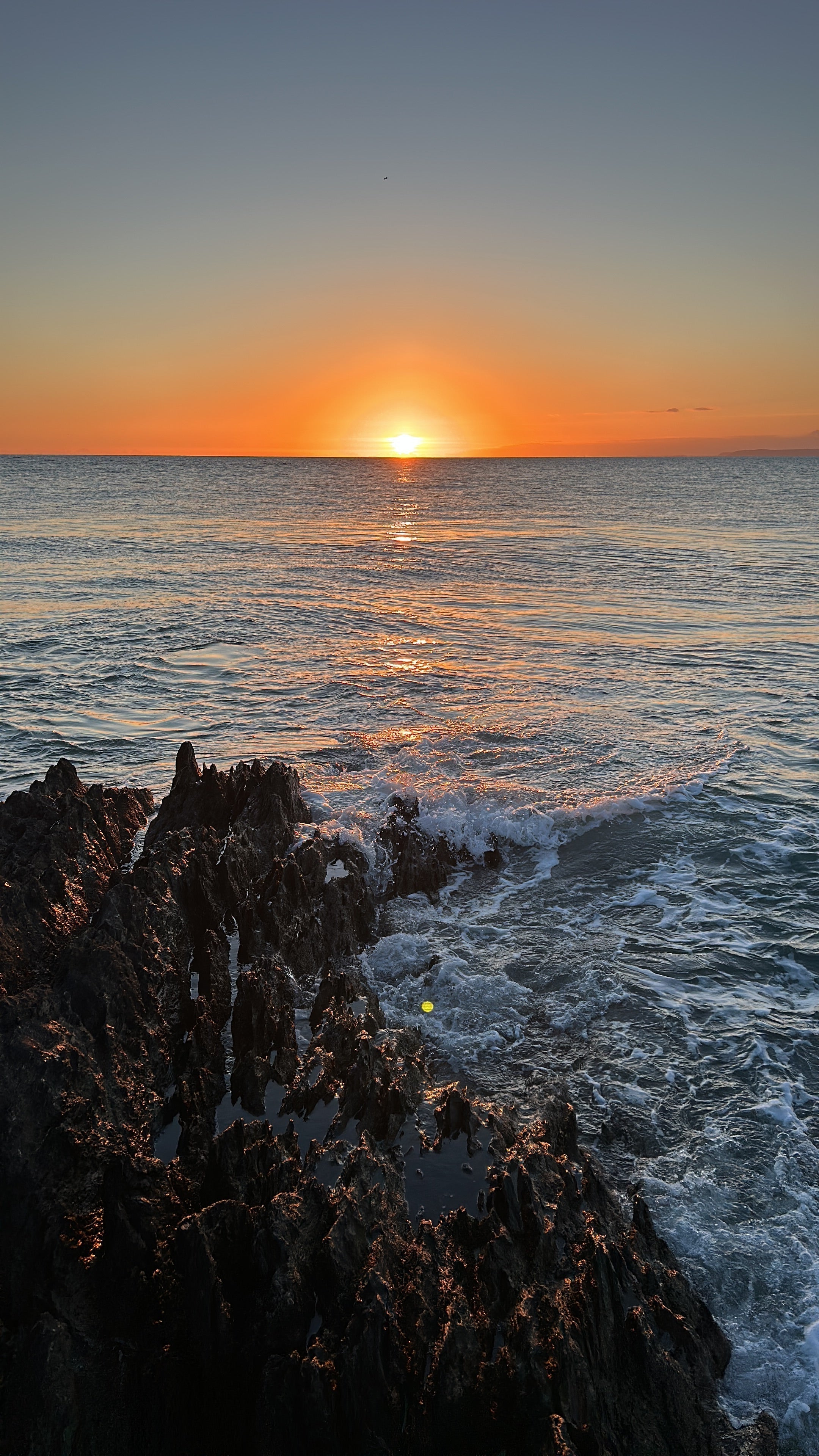 March Bass Lure Fishing Blog | Bass Lures UK