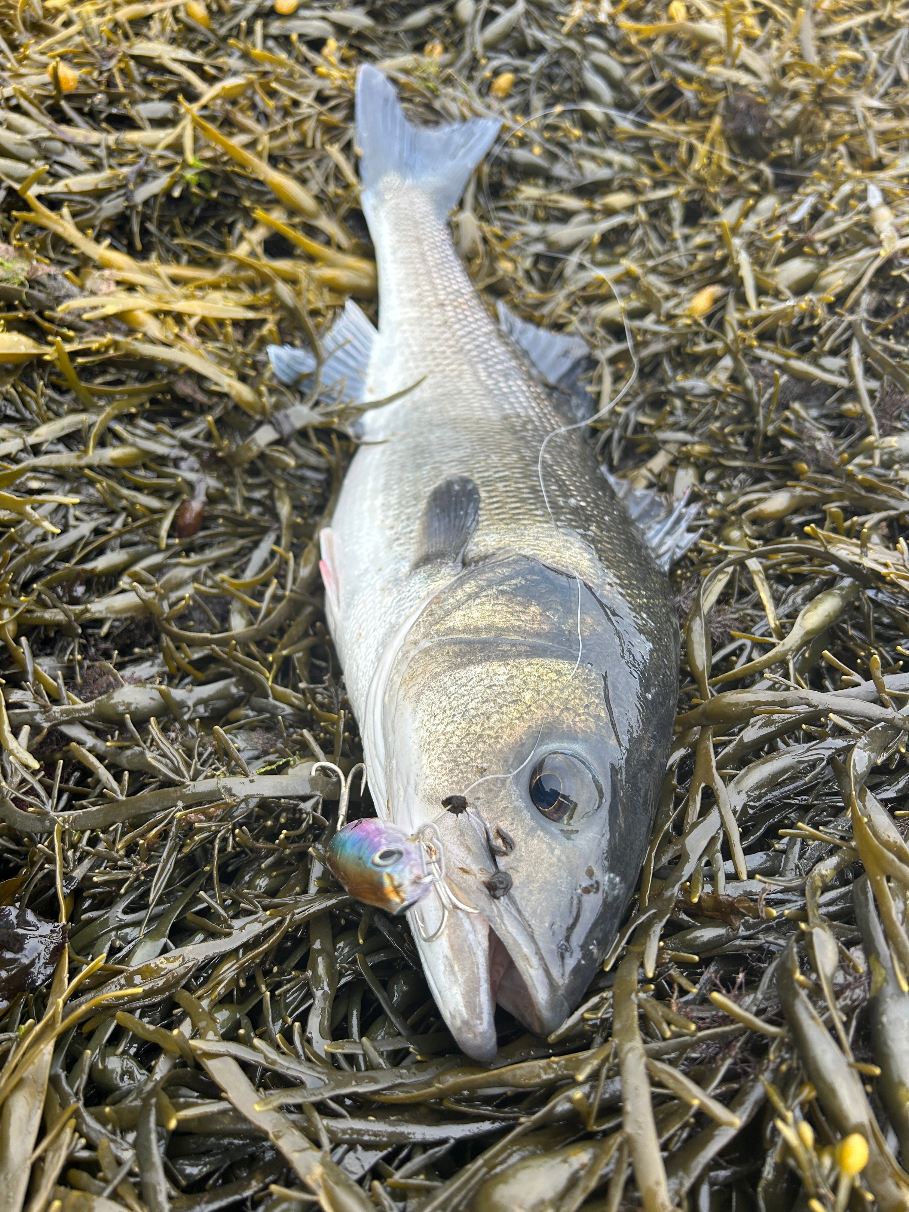 The benifits of Bass Lure Fishing before a Storm | Bass Lures UK