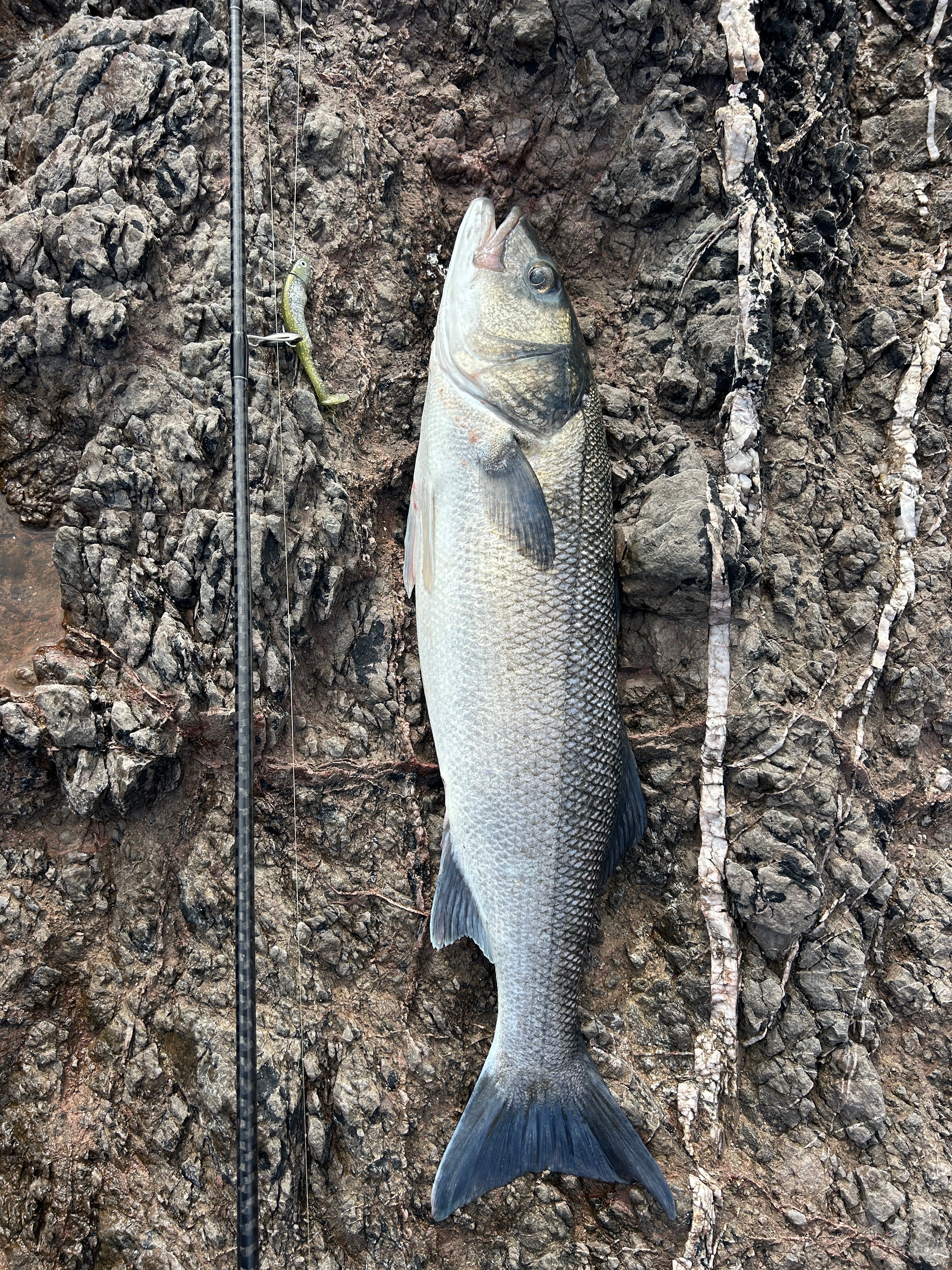 Another Year and a new Personal Best.