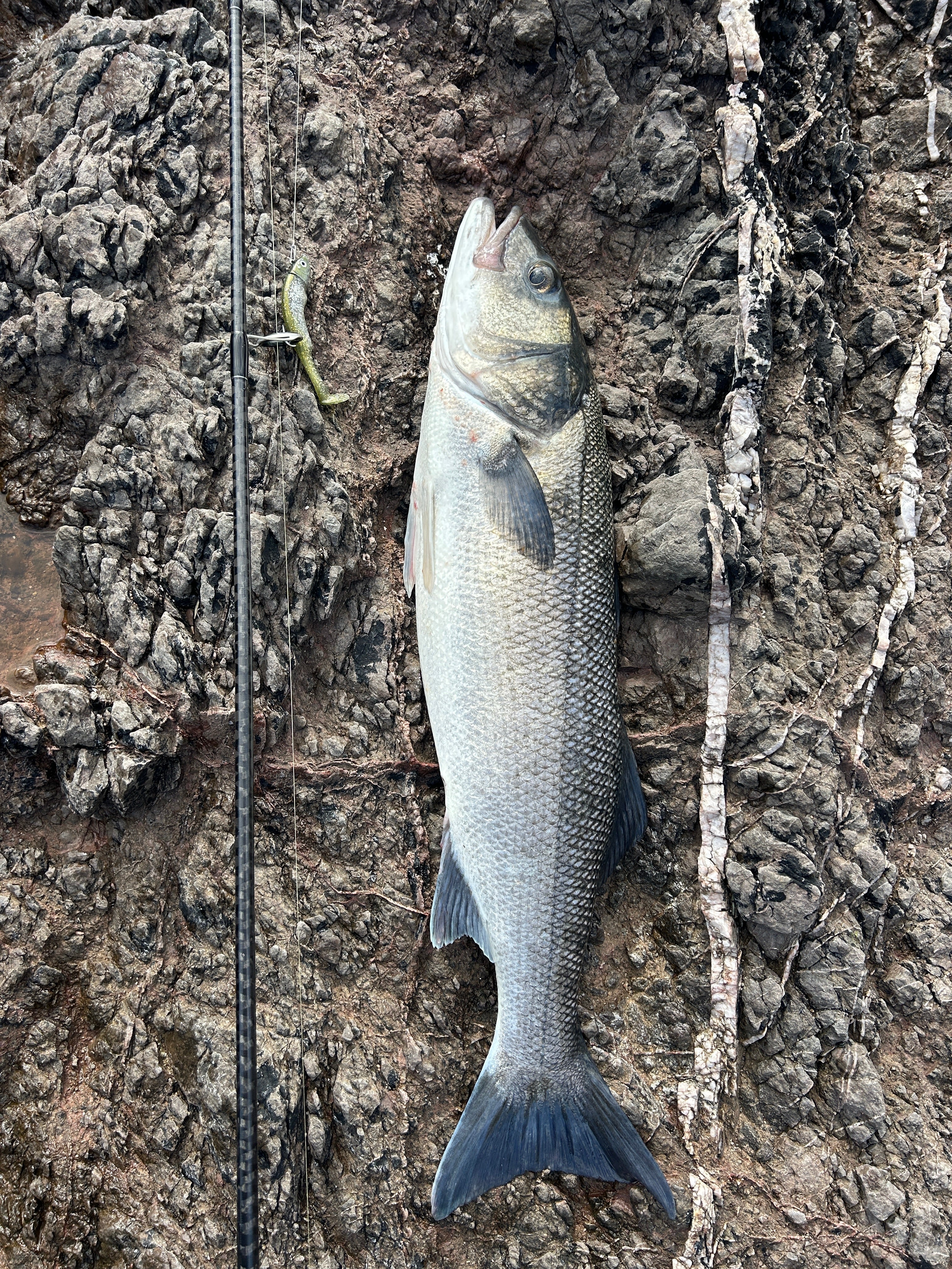 Another Year and a new Personal Best.